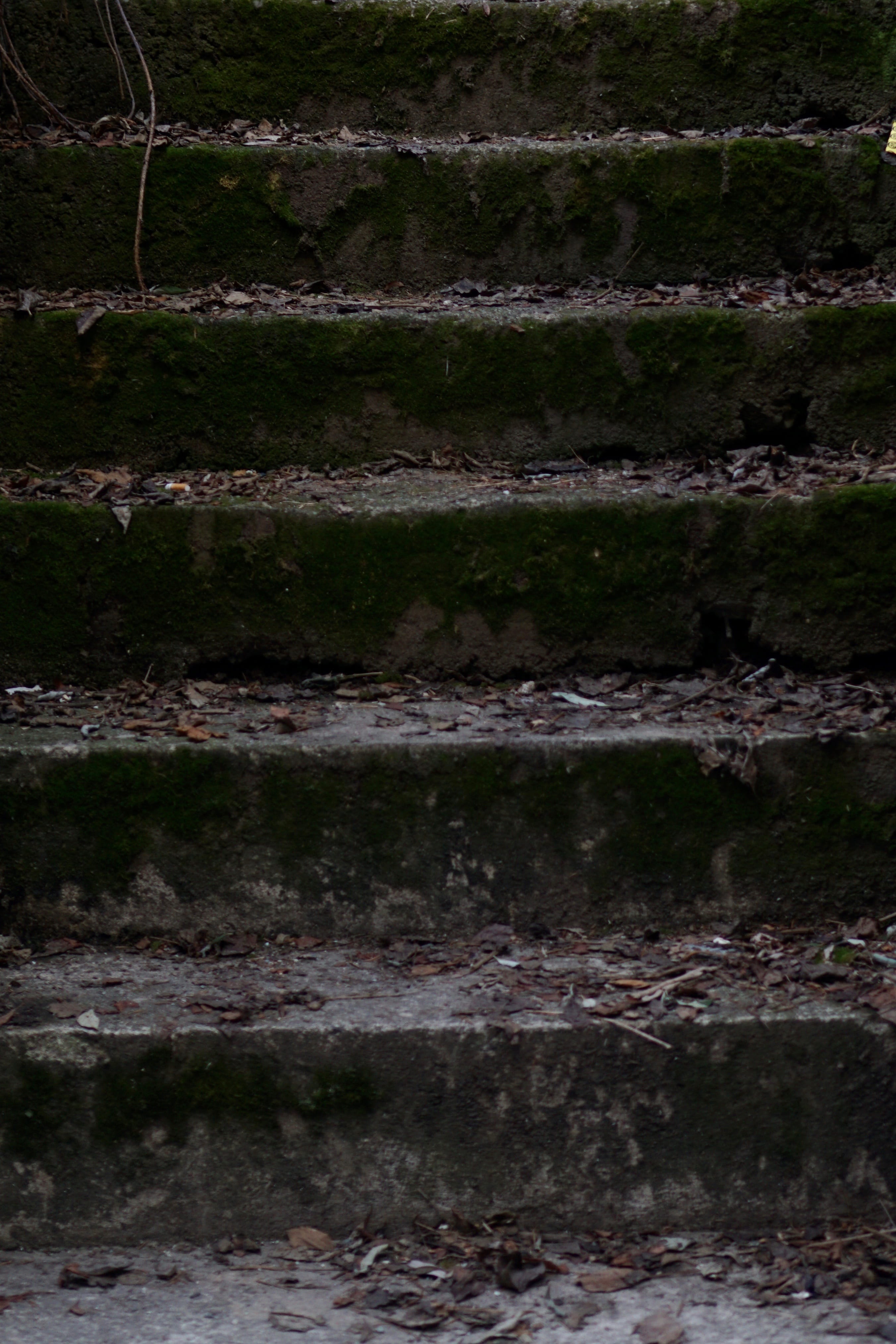 outdoors, stairs, gradually, pattern, backgrounds, weathered, nature, built structure, iron, concrete, stone, staircase, wall - building feature, no people, Phone HD Wallpaper