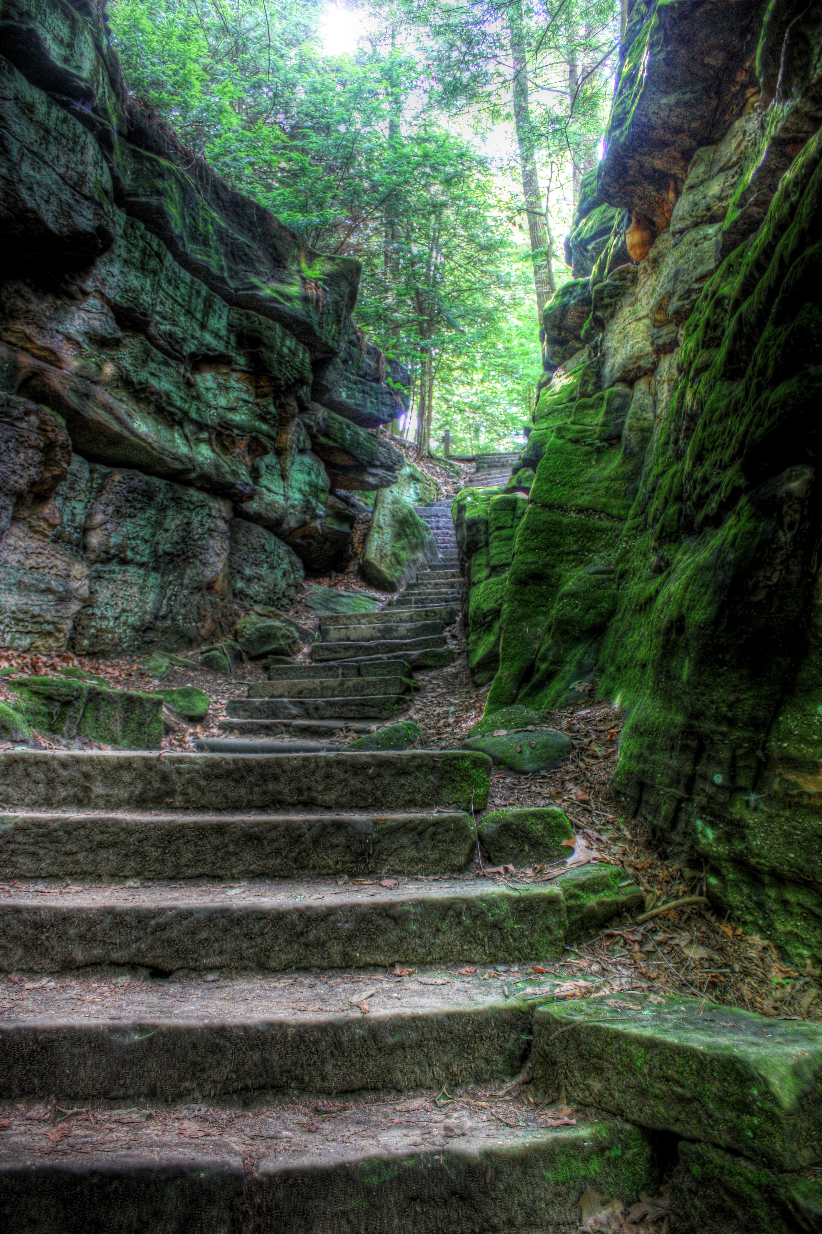 plant, staircase, architecture, no people, steps and staircases, land, stairs, tranquility, outdoor, landscape, solid, stone, day, low angle view, step, Phone HD Wallpaper