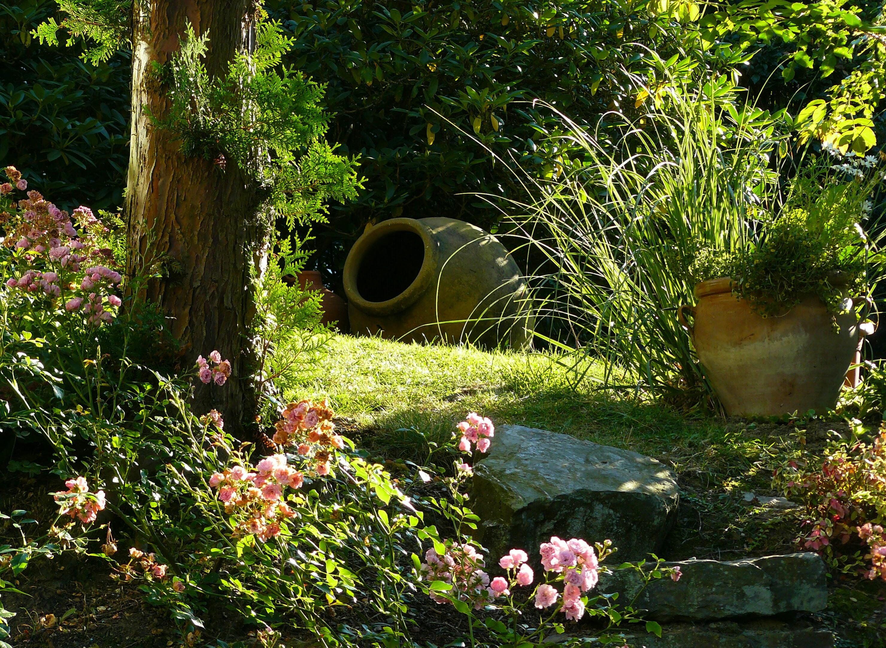 sunlight, outdoors, decorative, photo, flowers, flora, grasses, natural stone, amphora, garden architecture, tress, flower, blossom, plants, horticulture, HD Wallpaper