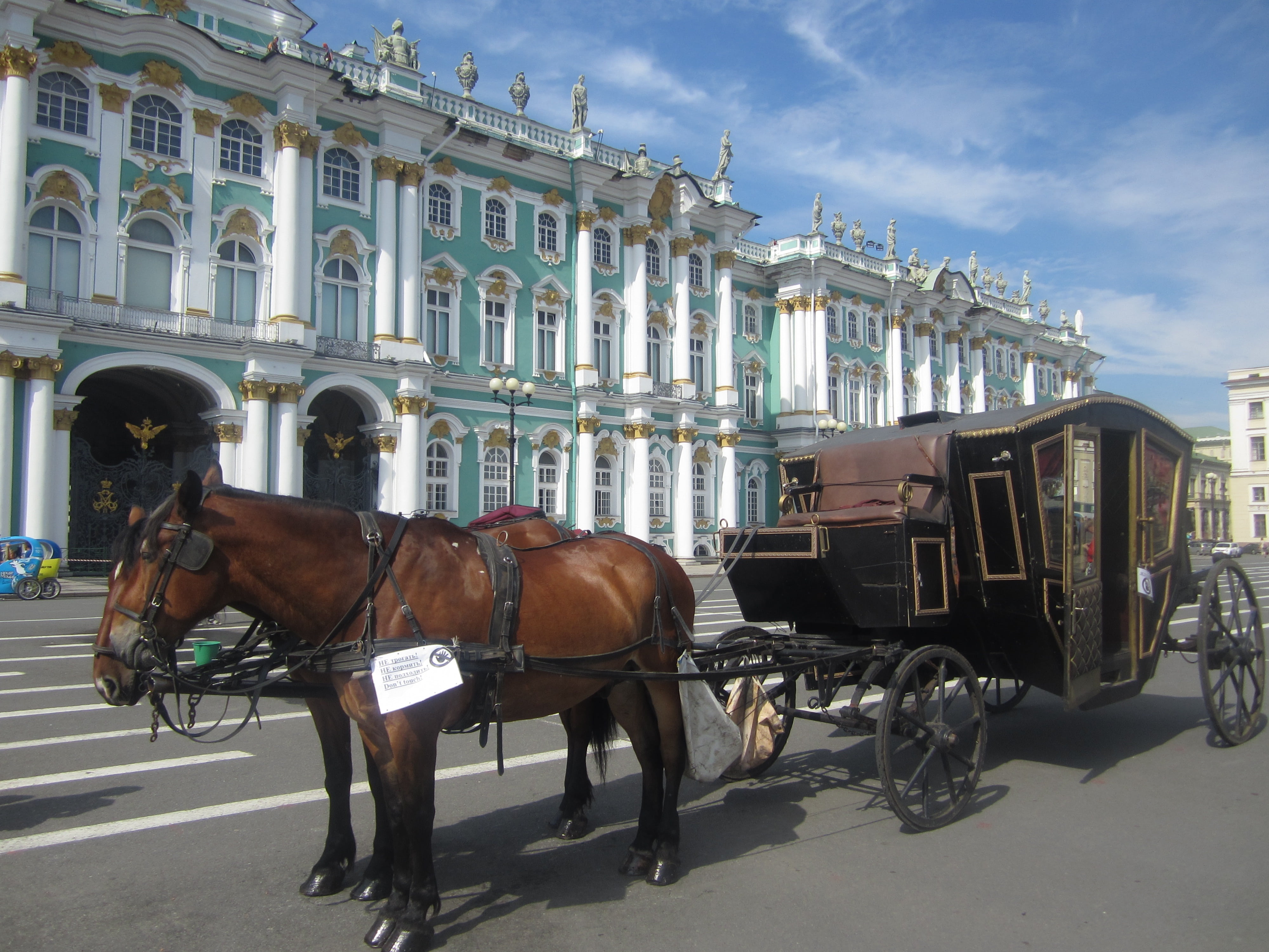 hermitage, livestock, pets, domestic, building exterior, tourism, animal, street, domestic animals, horsedrawn, coach, herbivorous, working animal, transportation, HD Wallpaper
