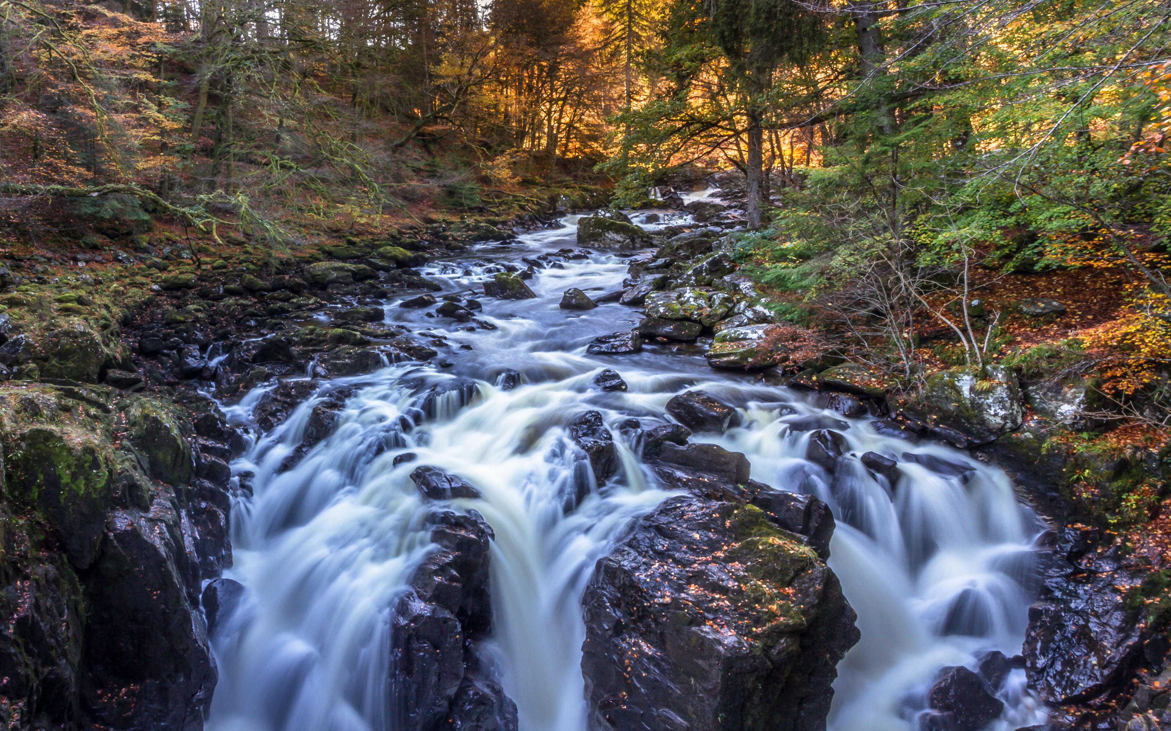 part, nature, central, braan, eastern, hd, landscape, perthshire, dunkeld, hermitage, 4K, scotland, falls, HD Wallpaper
