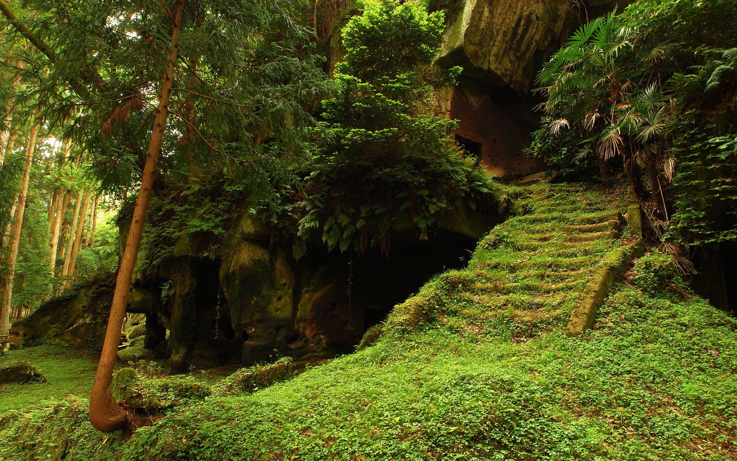 forests, x, forest, hermitage, 2K, cave, Landscapes, evening, hd, art, nature, HD Wallpaper