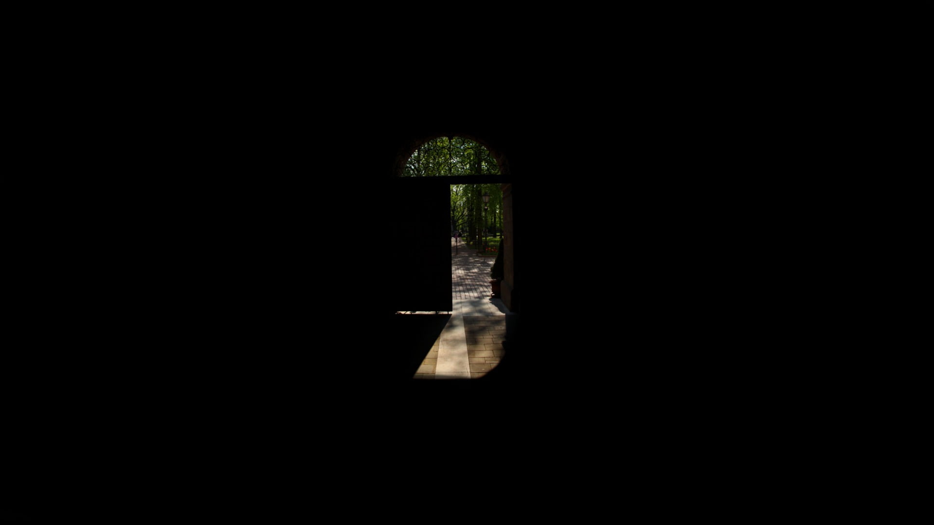trees, still life, studio shot, black background, sharp, symmetry, door, copy space, simplicity, reflection, cut out, single object, spotlight, nature, HD Wallpaper