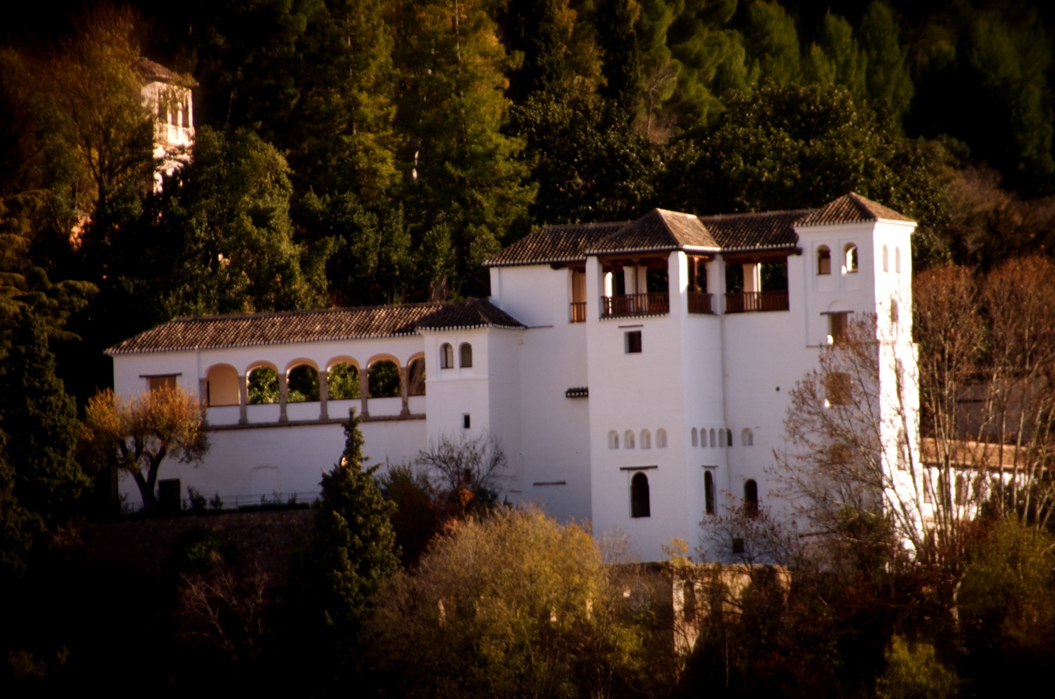 palace, no people, night, wealth, 1080P, window, water, growth, plant, fortress, outdoors, architecture, nature, house, andalusia, expensive, forest, building exterior, HD Wallpaper