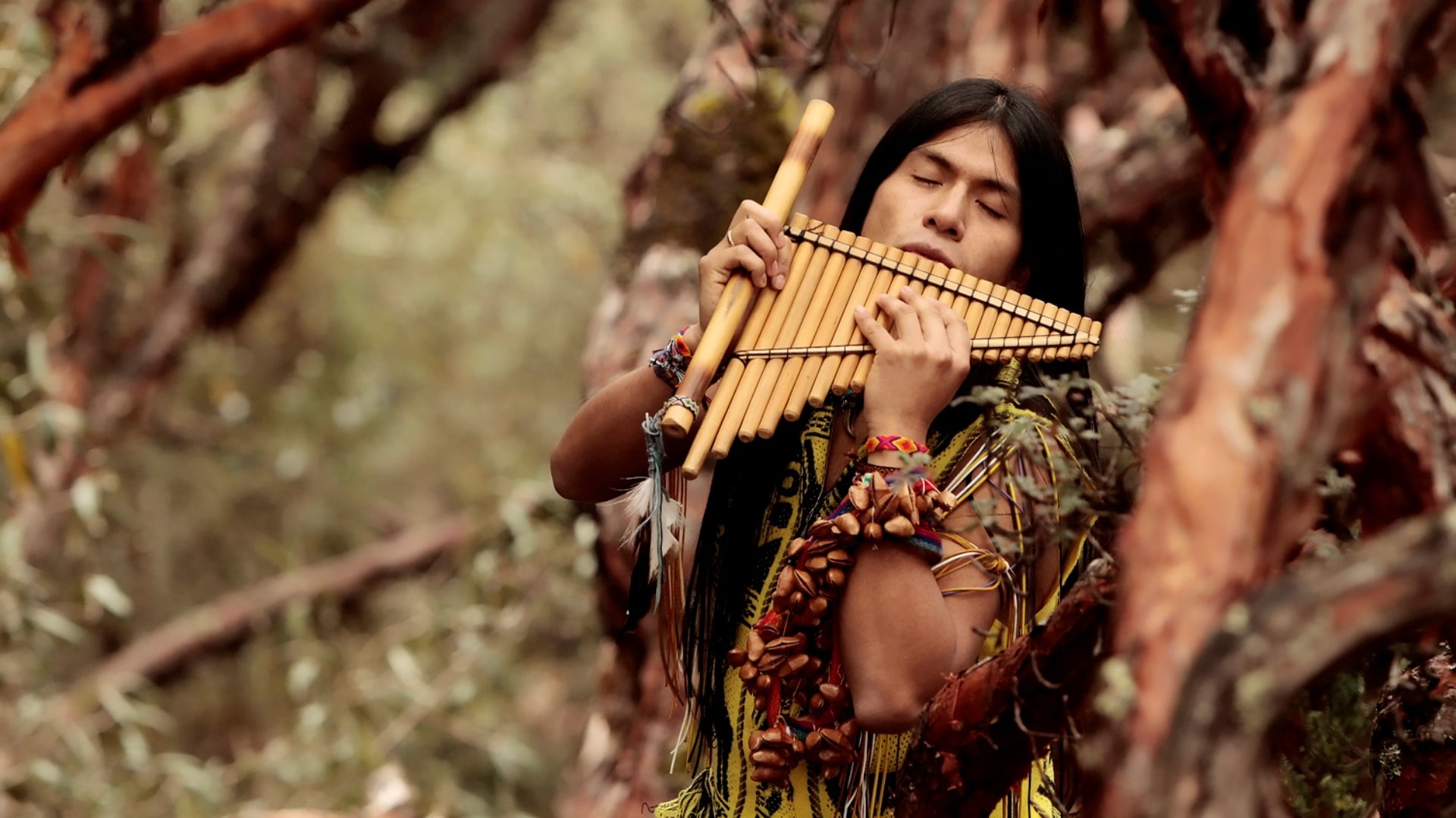 young women, indigenous Culture, beautiful woman, instrument, cultures, females, caucasian Ethnicity, selective focus, people, portrait, brown, leo rojas, HD Wallpaper