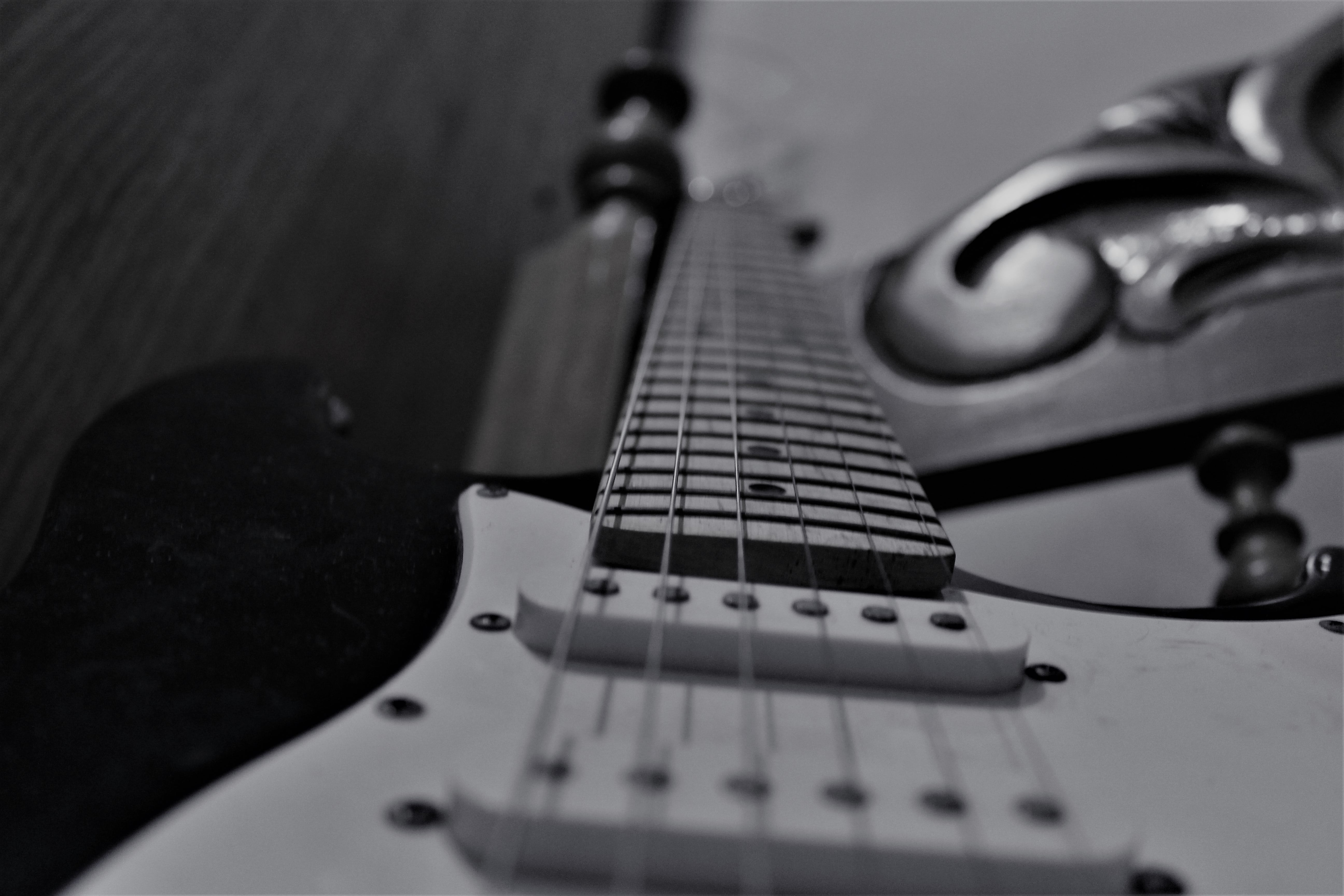 still life, white, guitar, woodwind instrument, monochrome, 5K, nightlife, music, close-up, arts culture and entertainment, musical instrument, selective focus, HD Wallpaper