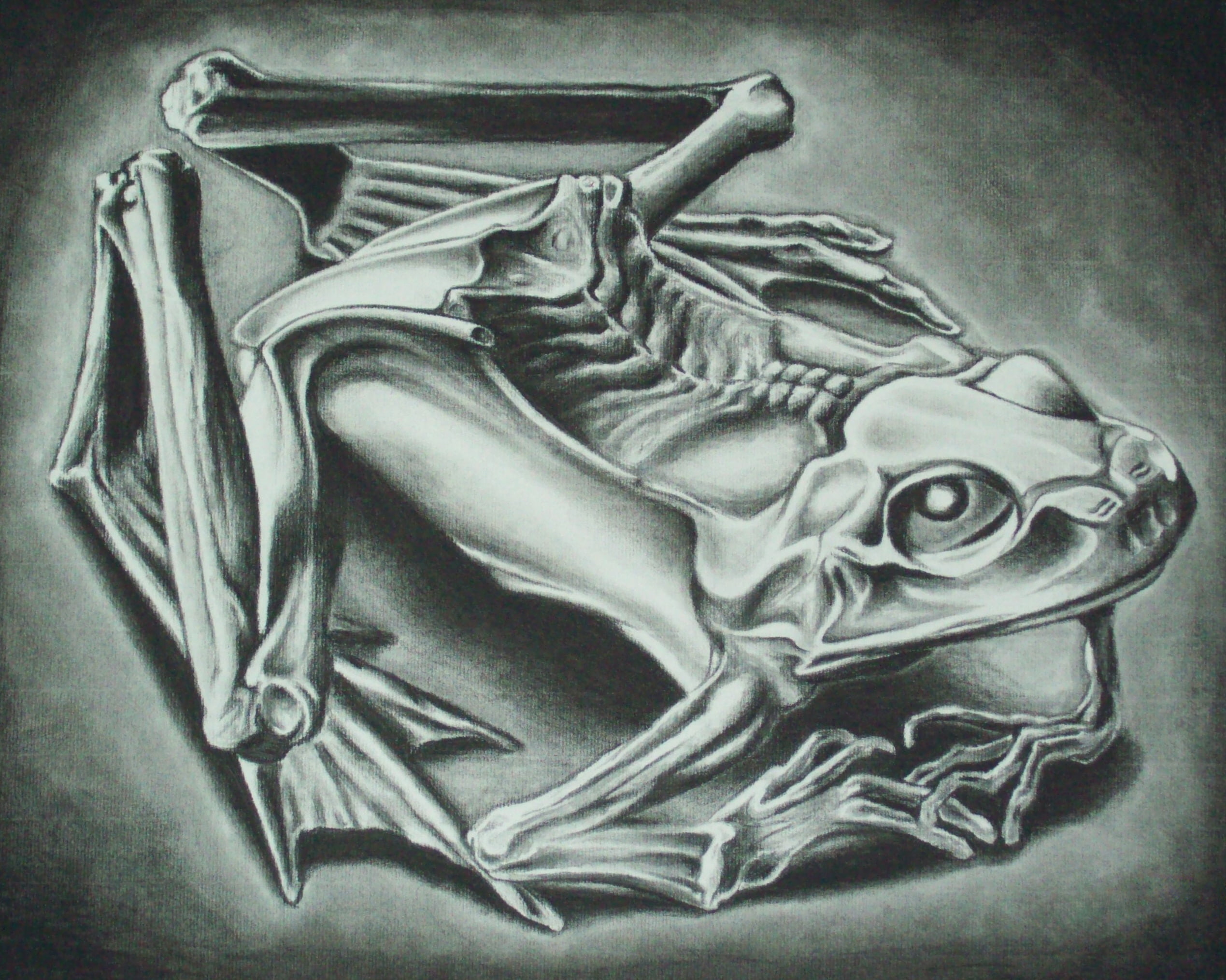 mc, 1080P, MC Escher, art, animals, frogs, hd, escher, x, HD Wallpaper