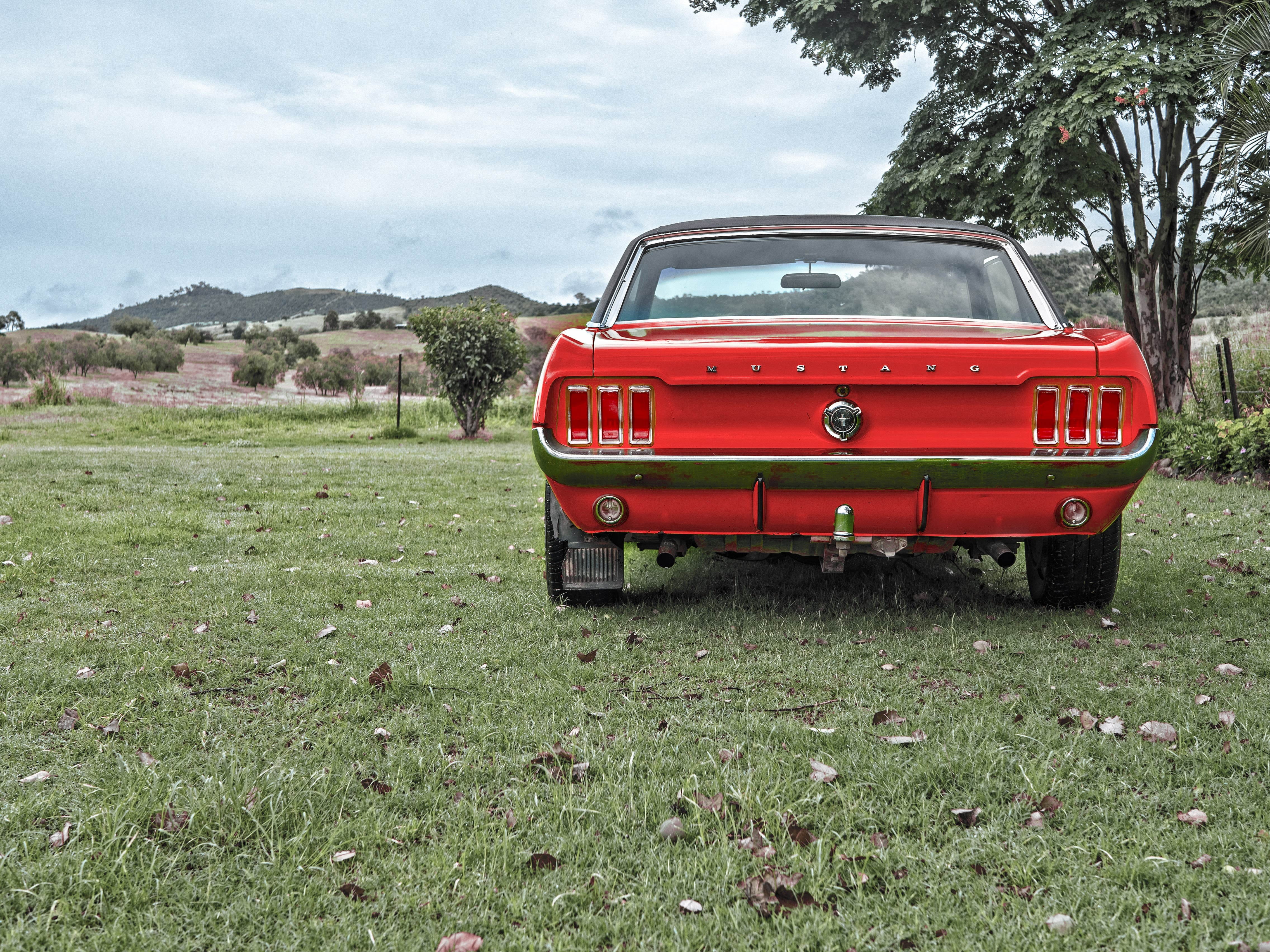 red, daytime, land, landscape, motor vehicle, car, cabriolet, classic, parked, american, land vehicle, sky, model, no people, ford, vehicle, green, dare, HD Wallpaper