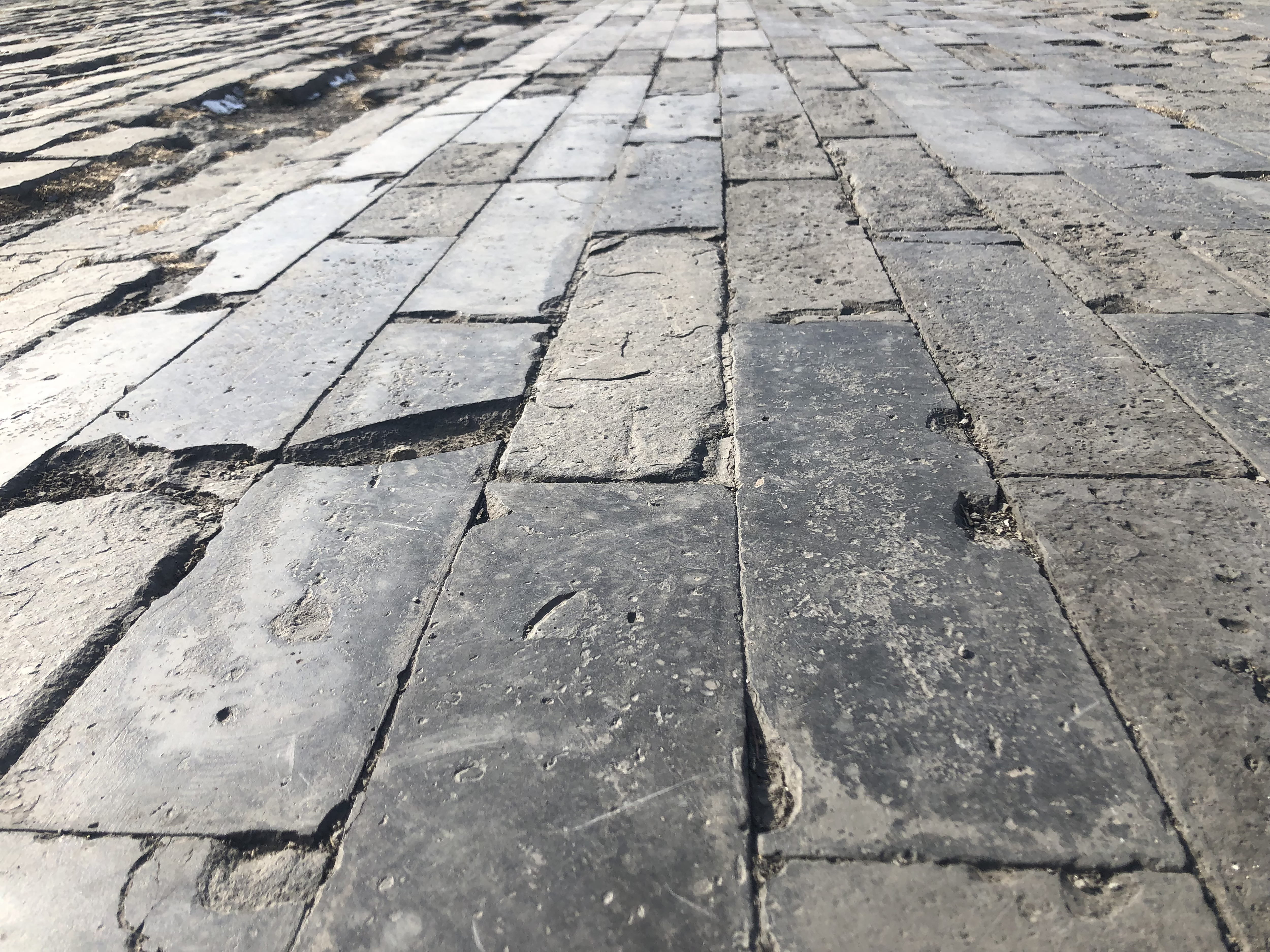 backgrounds, pavement, footpath, no people, surface level, pattern, street, transportation, pitbull, animal, stone, rough, canine, dog, stone material, HD Wallpaper