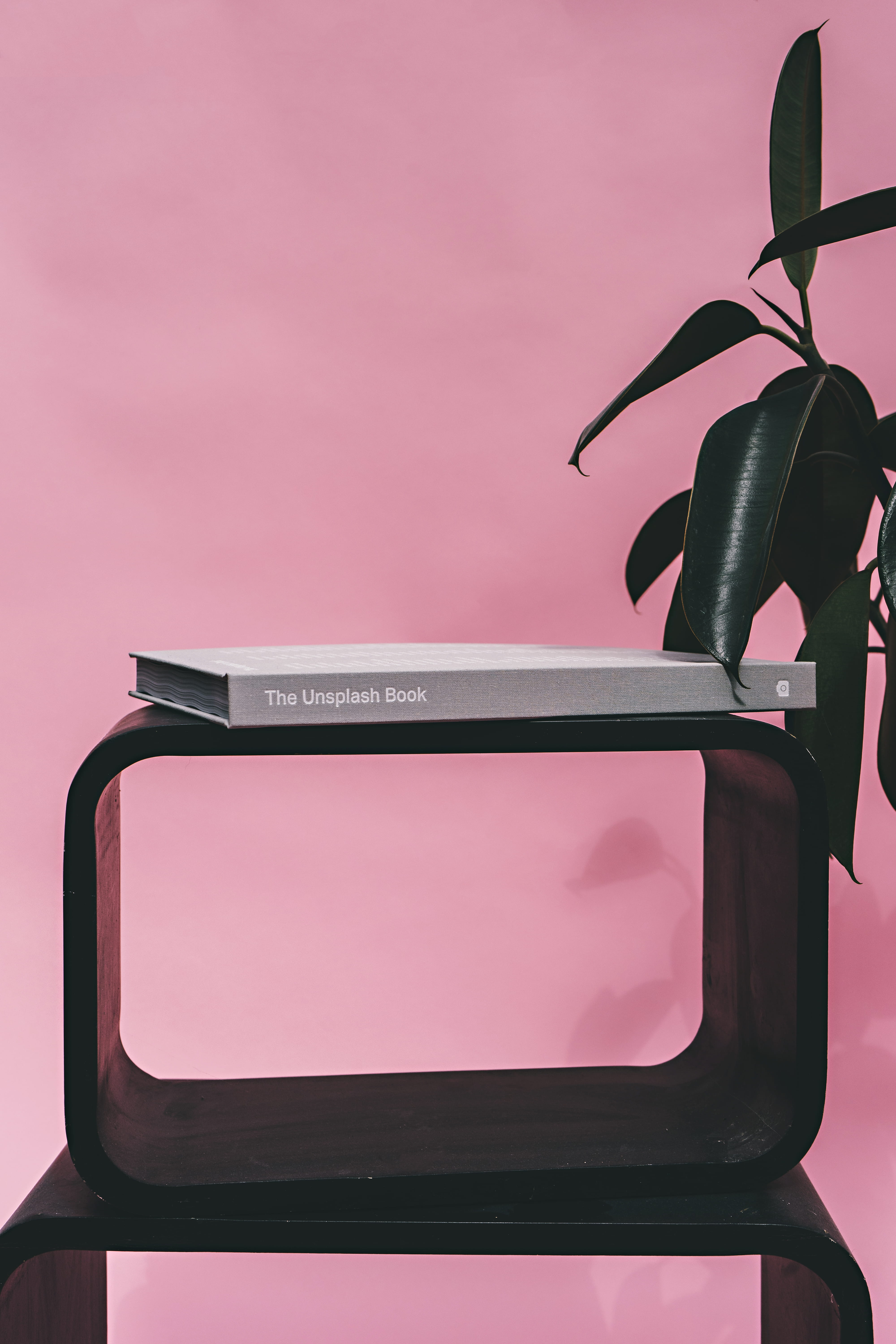 indoors, interior, top, connection, screen, colored background, shelf, still life, background, metal, display, plant, leaves, book, communication, monitor, Phone HD Wallpaper