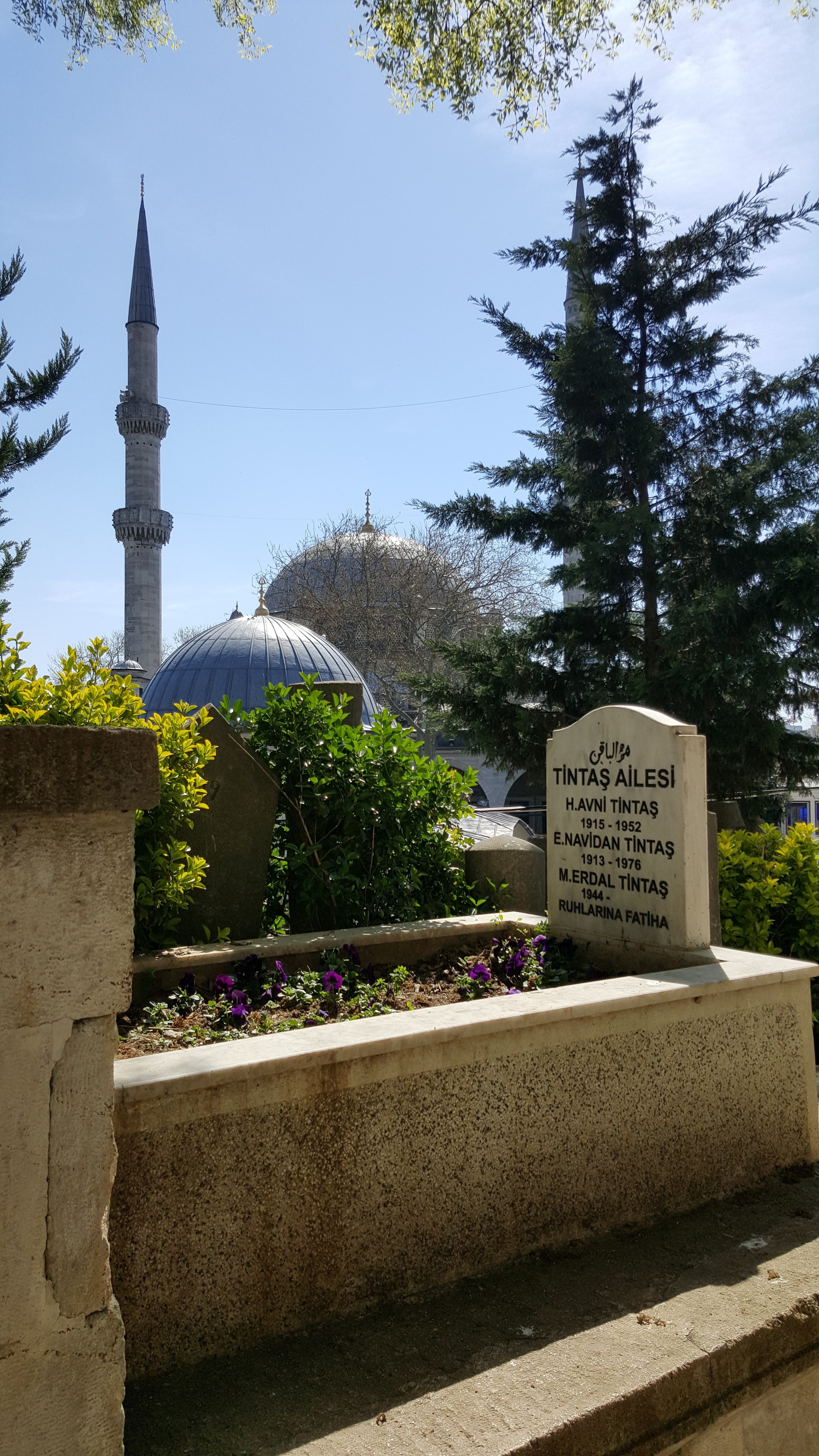 built structure, turkish, outdoors, building exterior, western script, mosque, hill, communication, tree, place of worship, old, building, 5K, text, steps, Phone HD Wallpaper