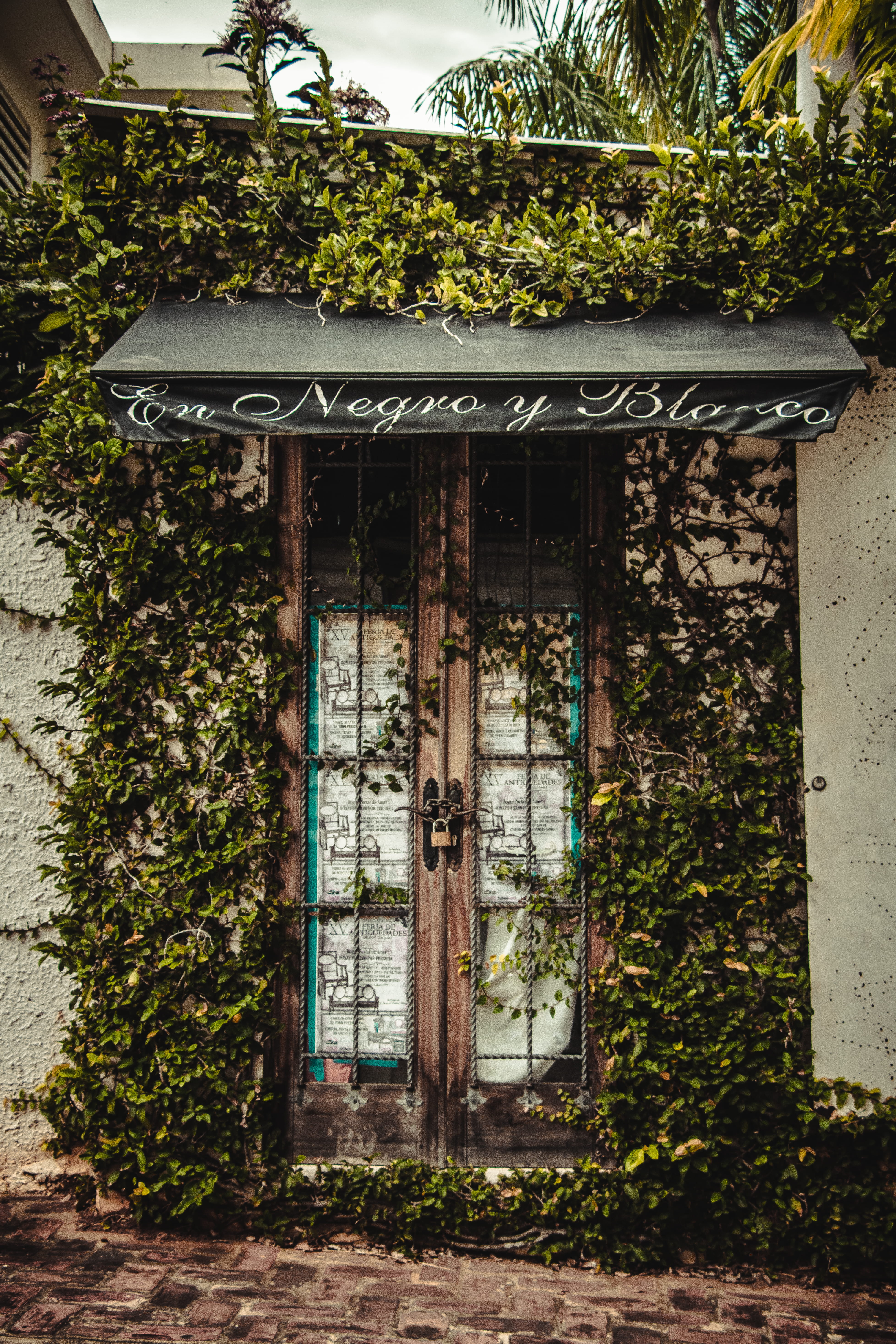 home decor, building exterior, vase, 5K, shop, vine, window, architecture, garden, door, text, canopy, residential district, awning, nature, arbour, plant, Phone HD Wallpaper