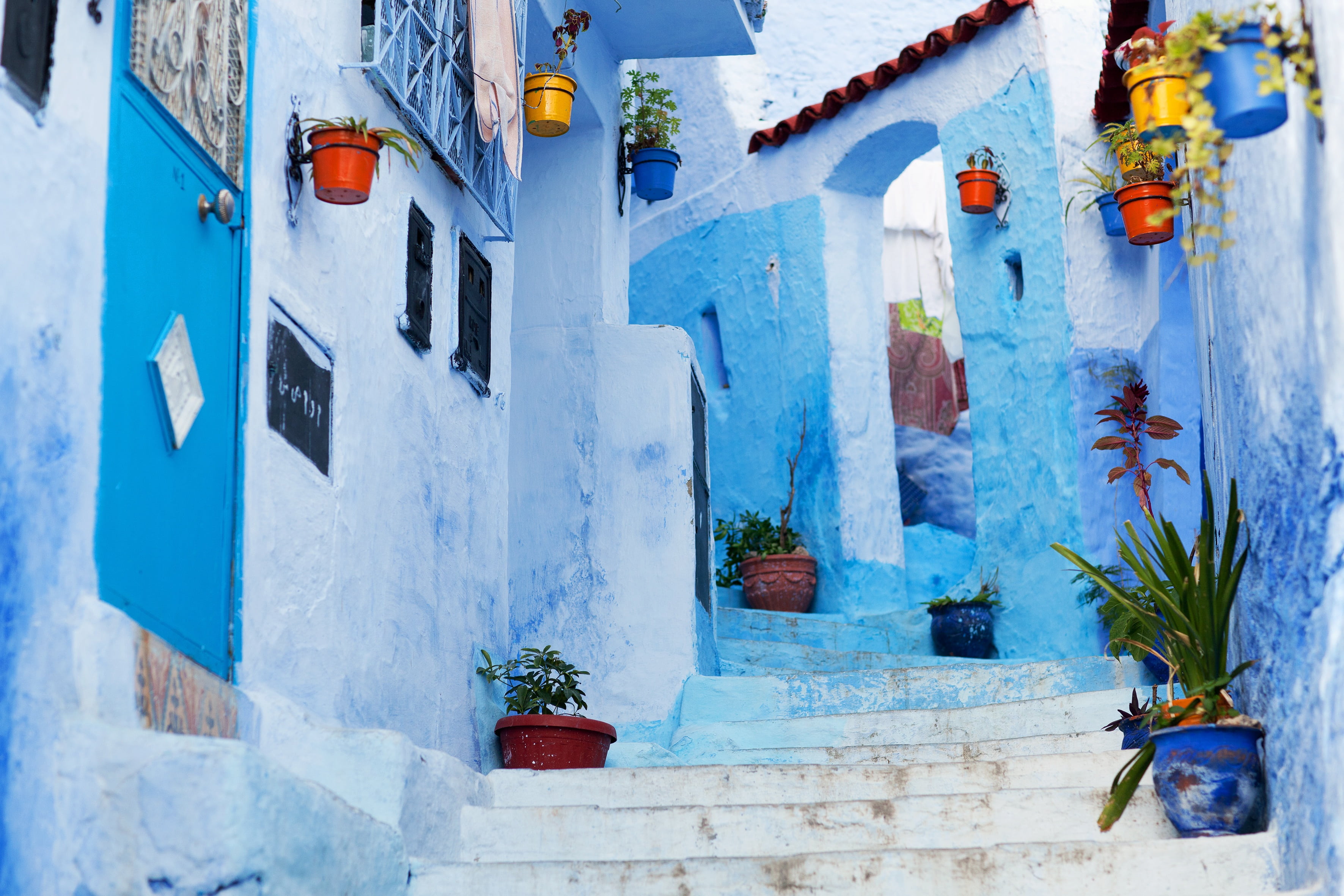 old town, house, white, blue, pathway, wall, building exterior, nature, flower, wall - building feature, flower pot, chefchaouen, building, architecture, HD Wallpaper