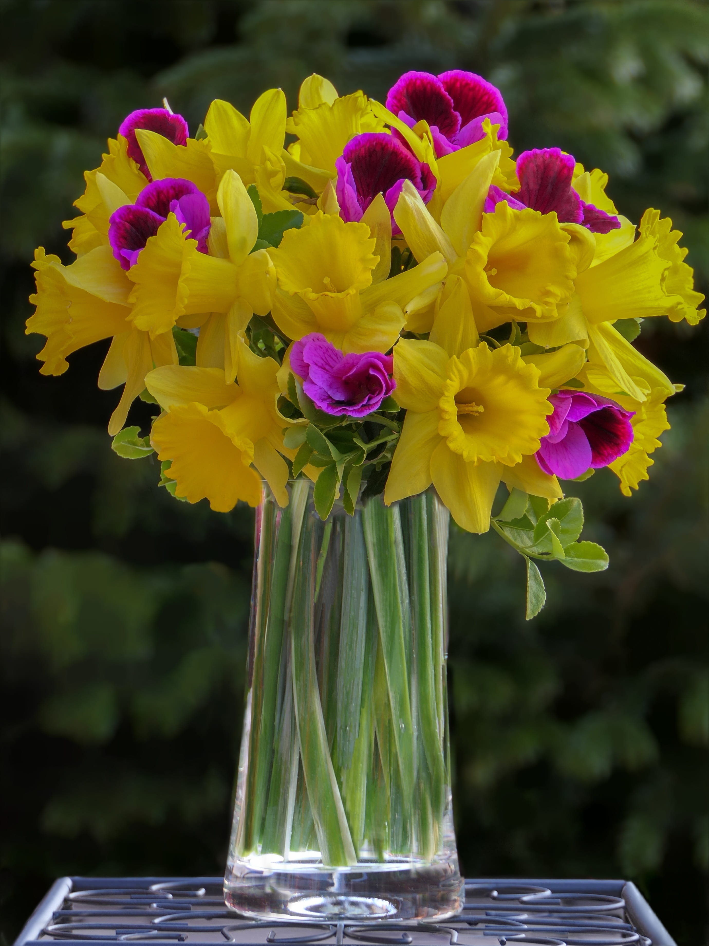 nature, daffodils, osterglocken, focus on foreground, bouquet, flowering plant, fragility, bunch of flowers, 2K, table, flower purple, vulnerability, close-up, Phone HD Wallpaper