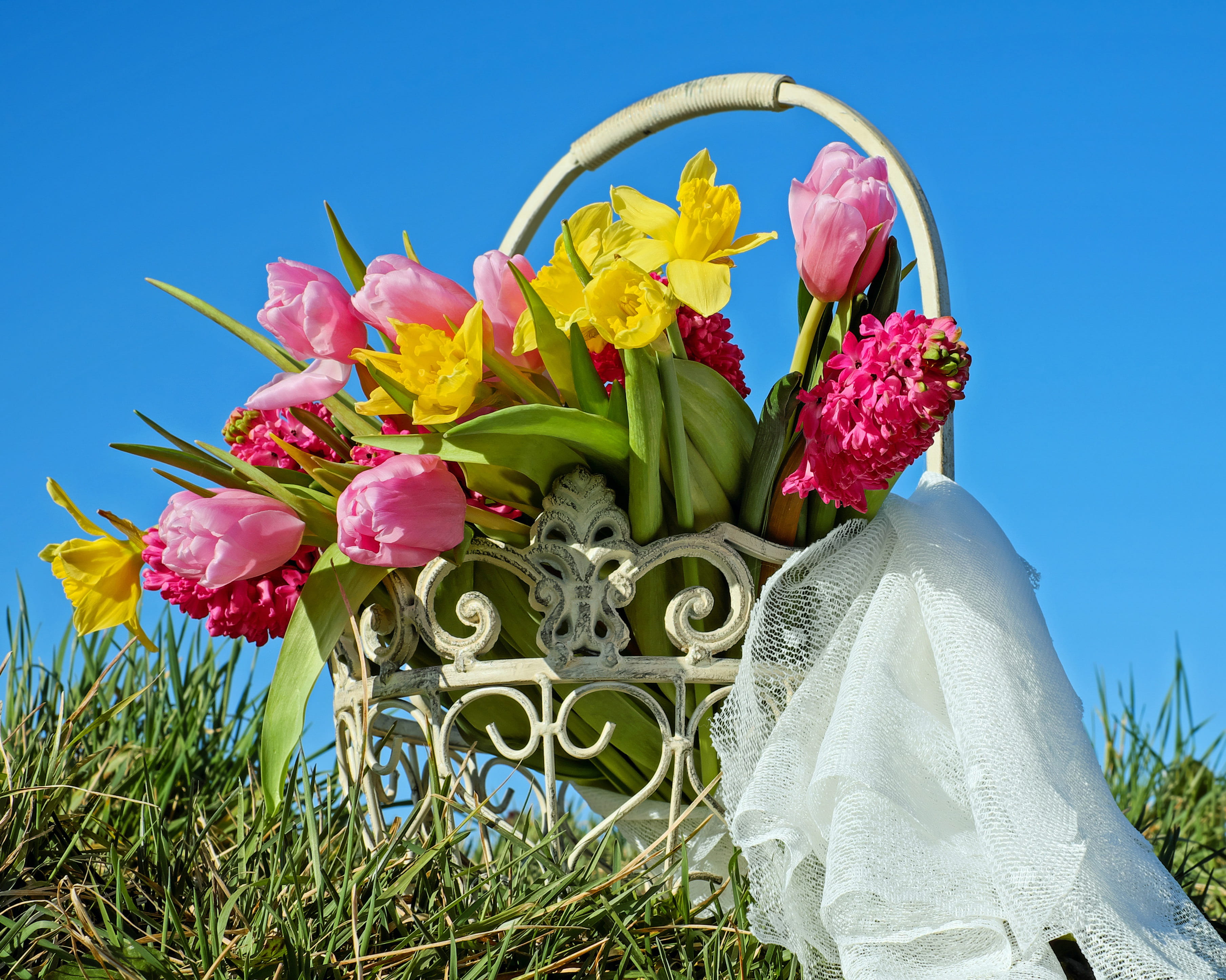 romantic, beautiful, meadow, cut flowers, day, basket, nature, sky, event, 2K, colorful, celebration, yellow, wedding, osterglocken, multi colored, flowering plant, HD Wallpaper