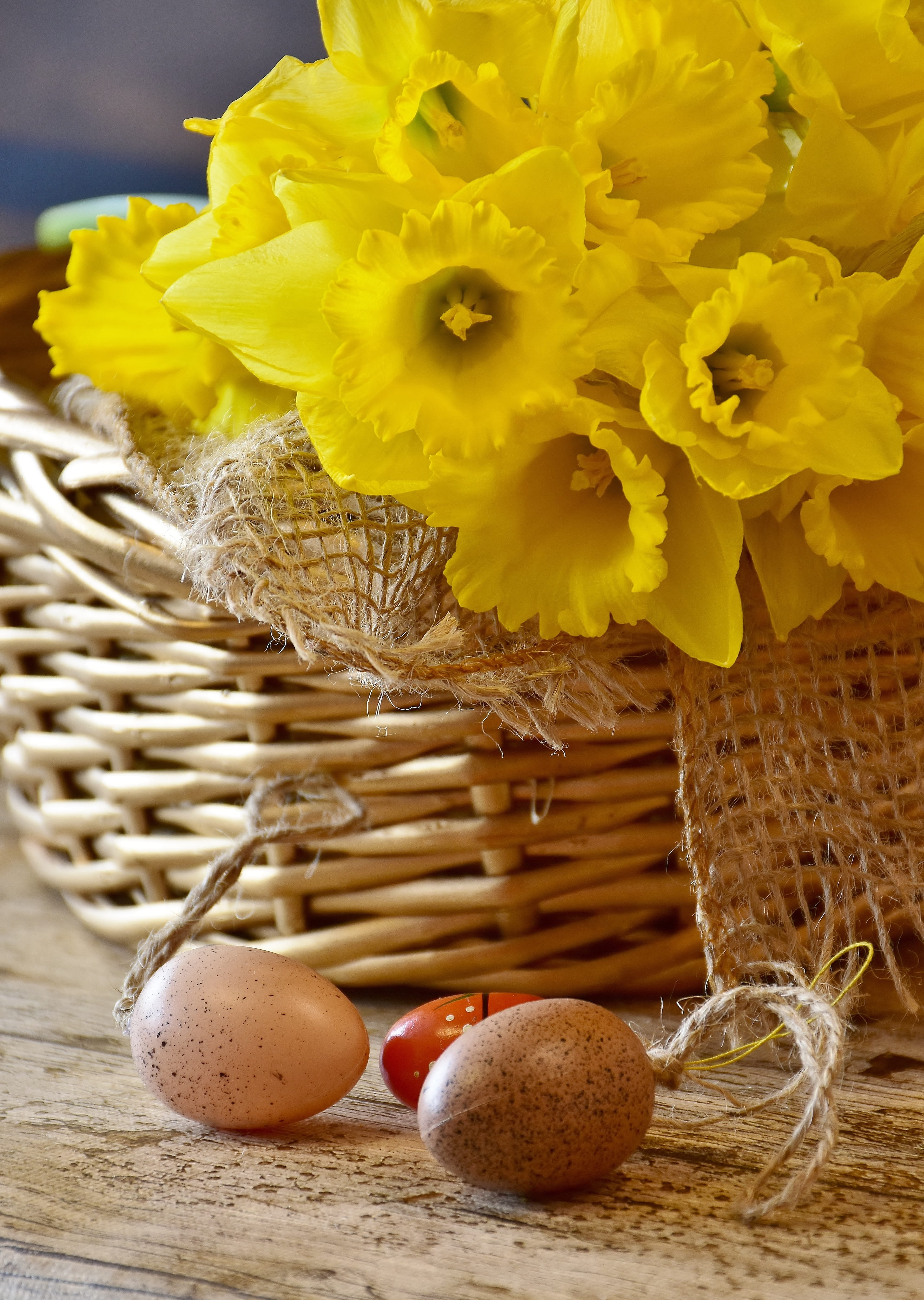 freshness, easter, healthy eating, fruit, daffodils, frühlingsanfang, 5K, bunch of flowers, blossom, plant, flower, yellow, spring, still life, close, Phone HD Wallpaper