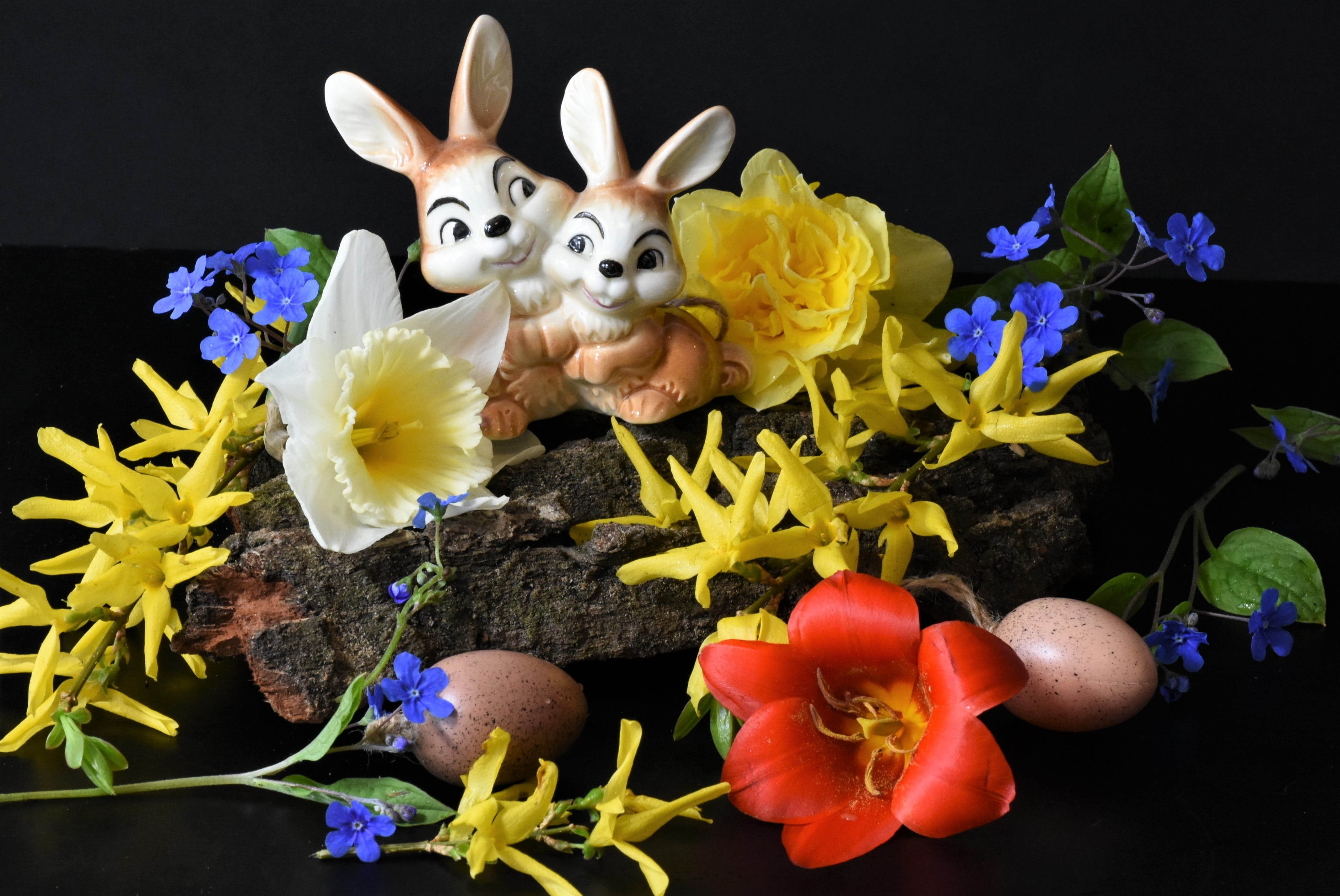 bloom, arrangement, celebration, season, close up, spring, gift, fragility, flowers, 4K, animal, representation, rabbit - animal, freshness, no people, HD Wallpaper