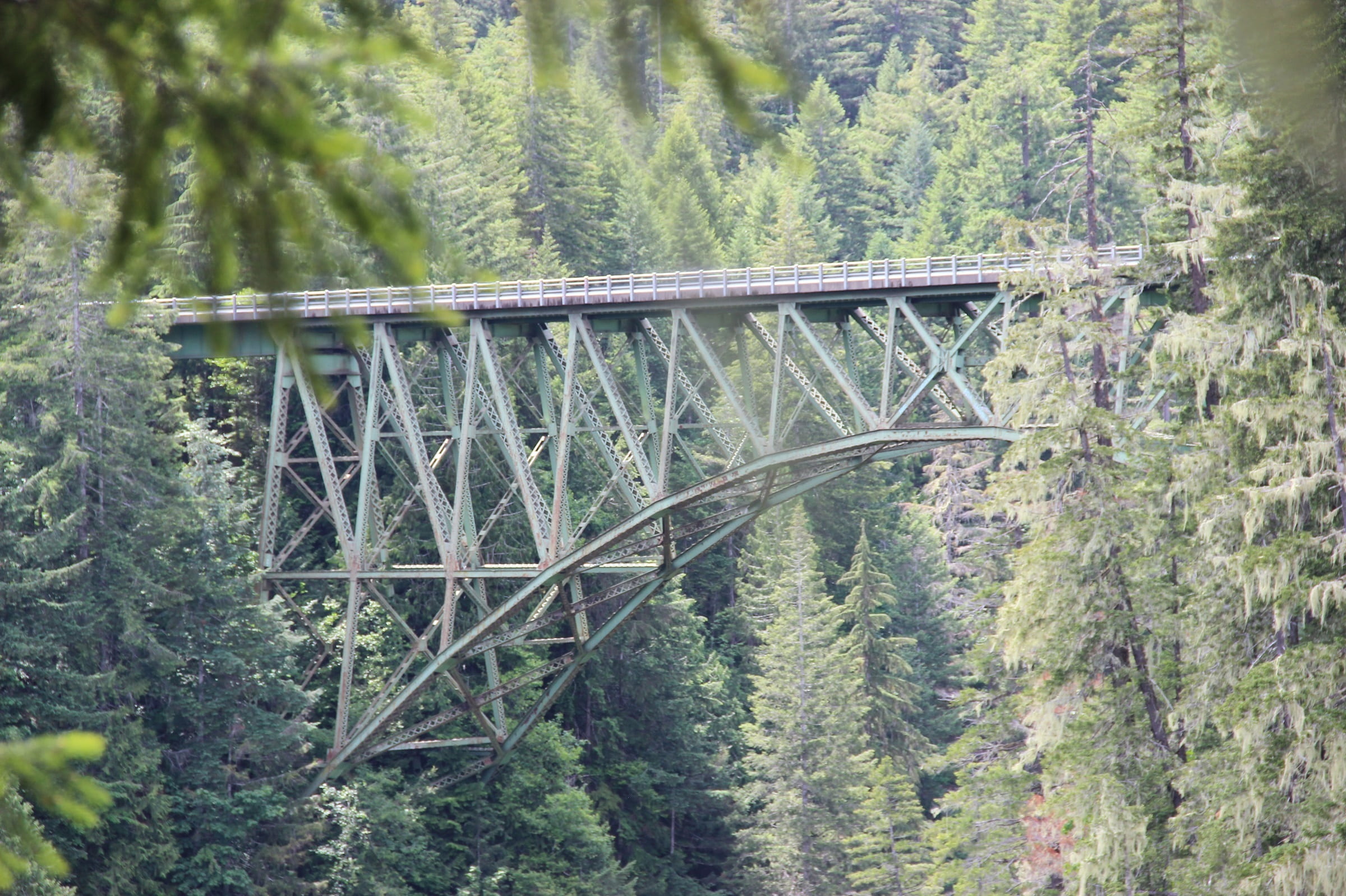 highway, arch, land, built structure, no people, beauty in nature, day, canyon, gorge, tranquility, olympic national forest, washington, scenics - nature, HD Wallpaper