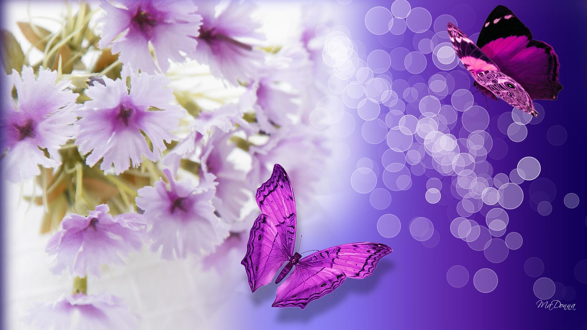 light, shine, warm, fantasic, butterflies, lilac, bokeh, purple, lavender, spring, fragrant, 1080P, flowers, perfume, HD Wallpaper