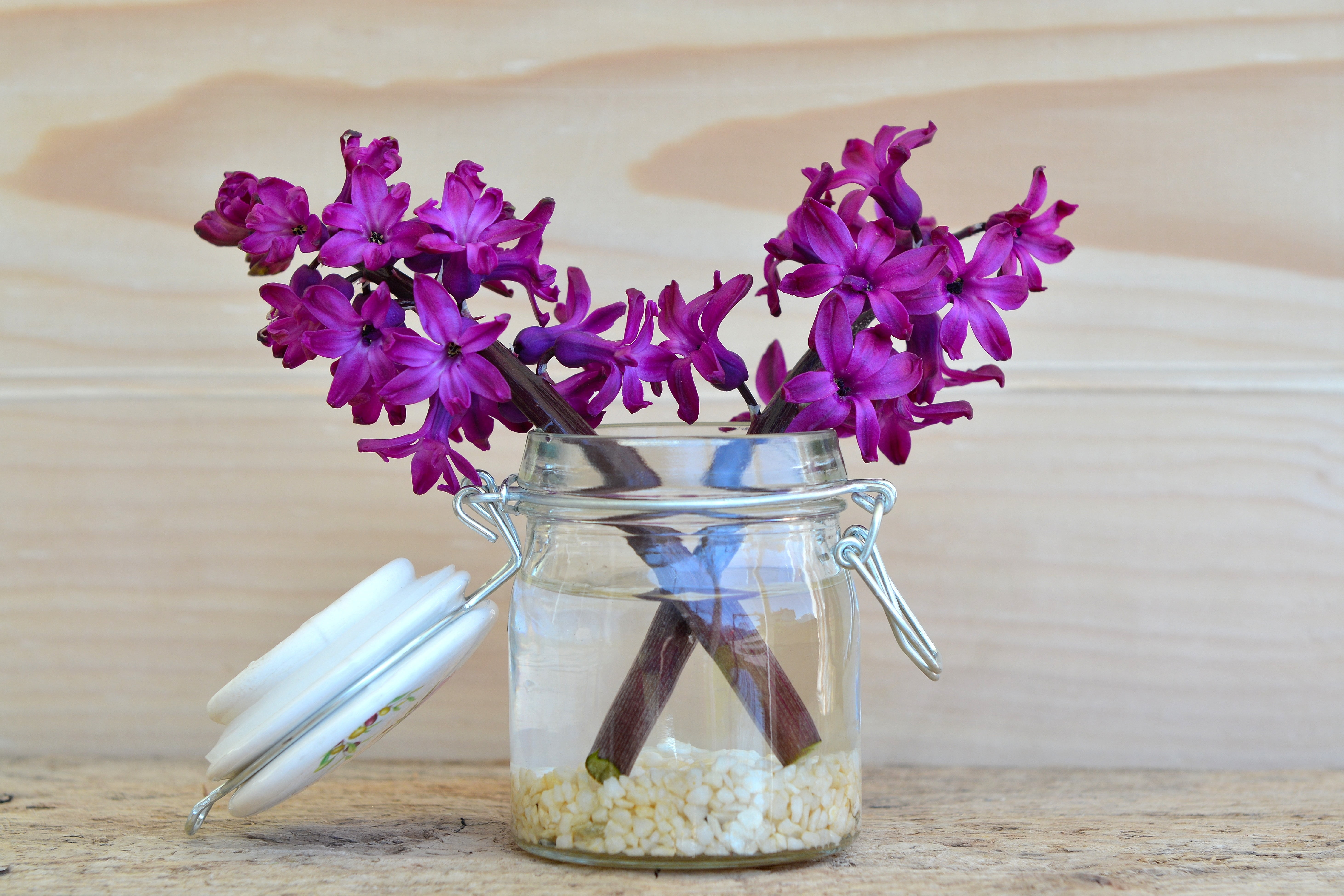 fragrant flower, flower arrangement, bouquet, beauty in nature, nature, vulnerability, still life, no people, wood - Material, flowering plant, close, fragility, HD Wallpaper
