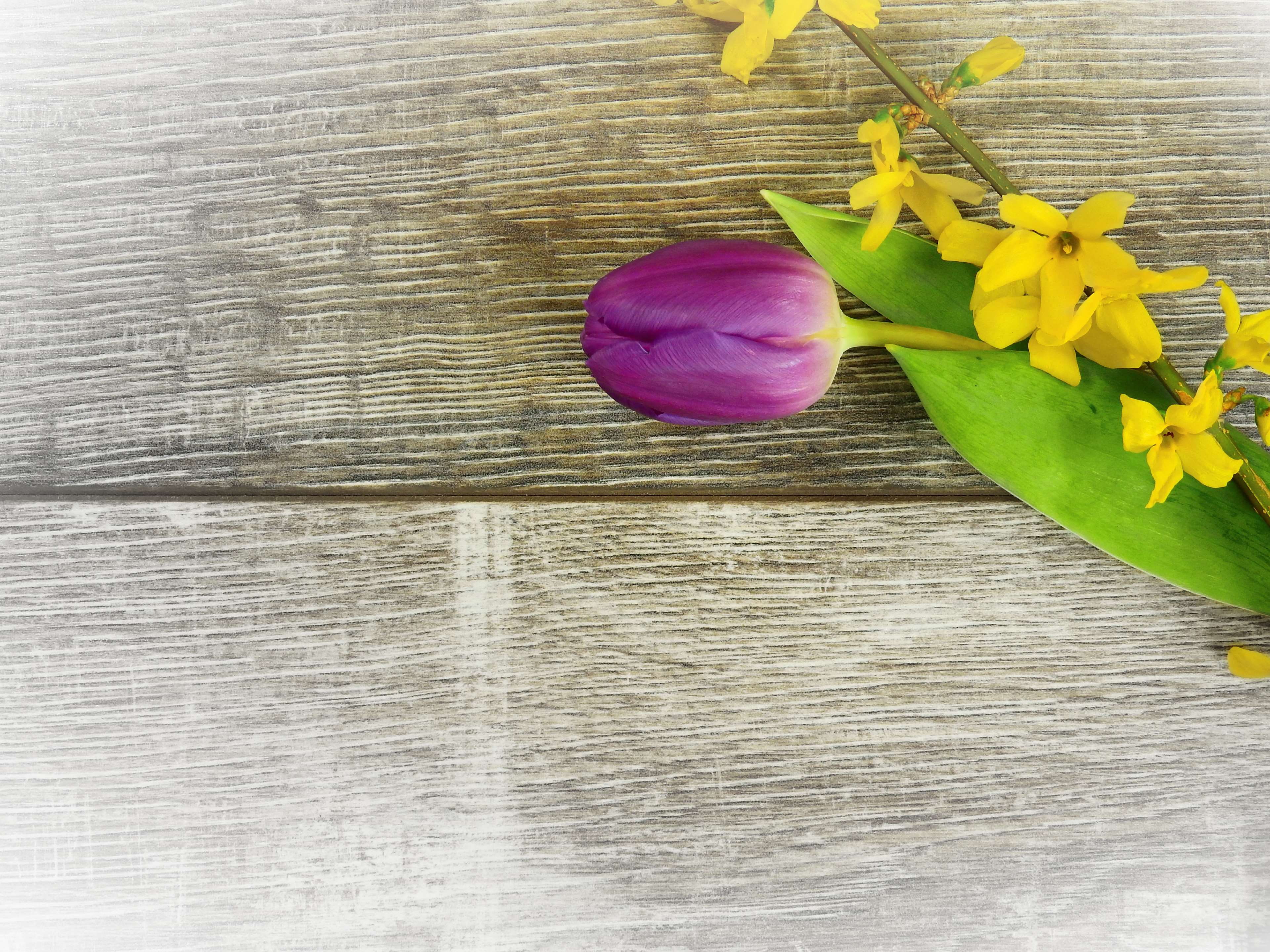 petal, table, beauty in nature, schnittblume, wood - material, purple, birthday, flower arrangement, indoors, flowering plant, easter, softness, spring, HD Wallpaper