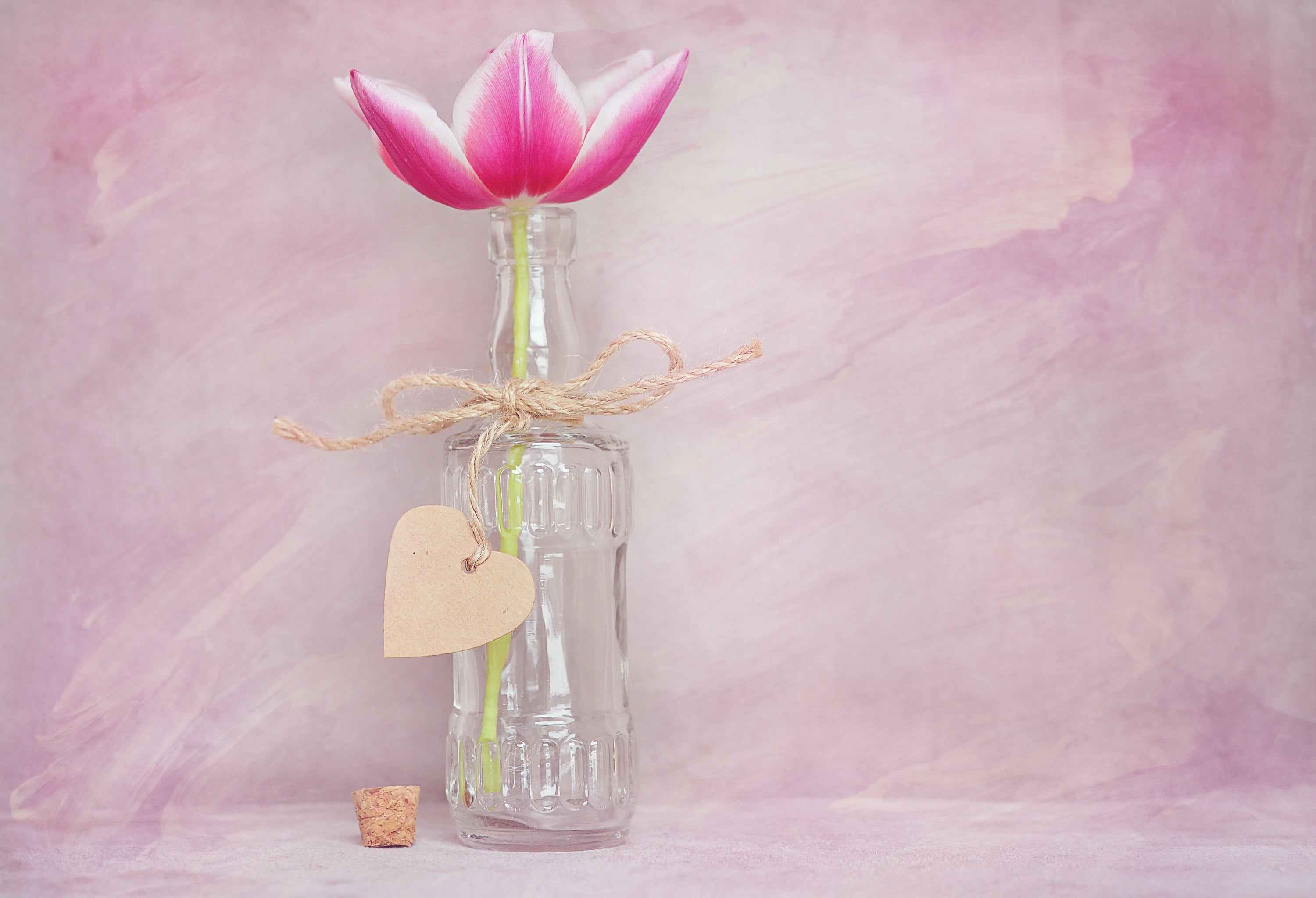 bottle, glass, bouquet, schnittblume, tulip, heart, table, jar, bloom, flowering plant, pink color, decoration, pink, blossom, vase, celebration, plant, HD Wallpaper