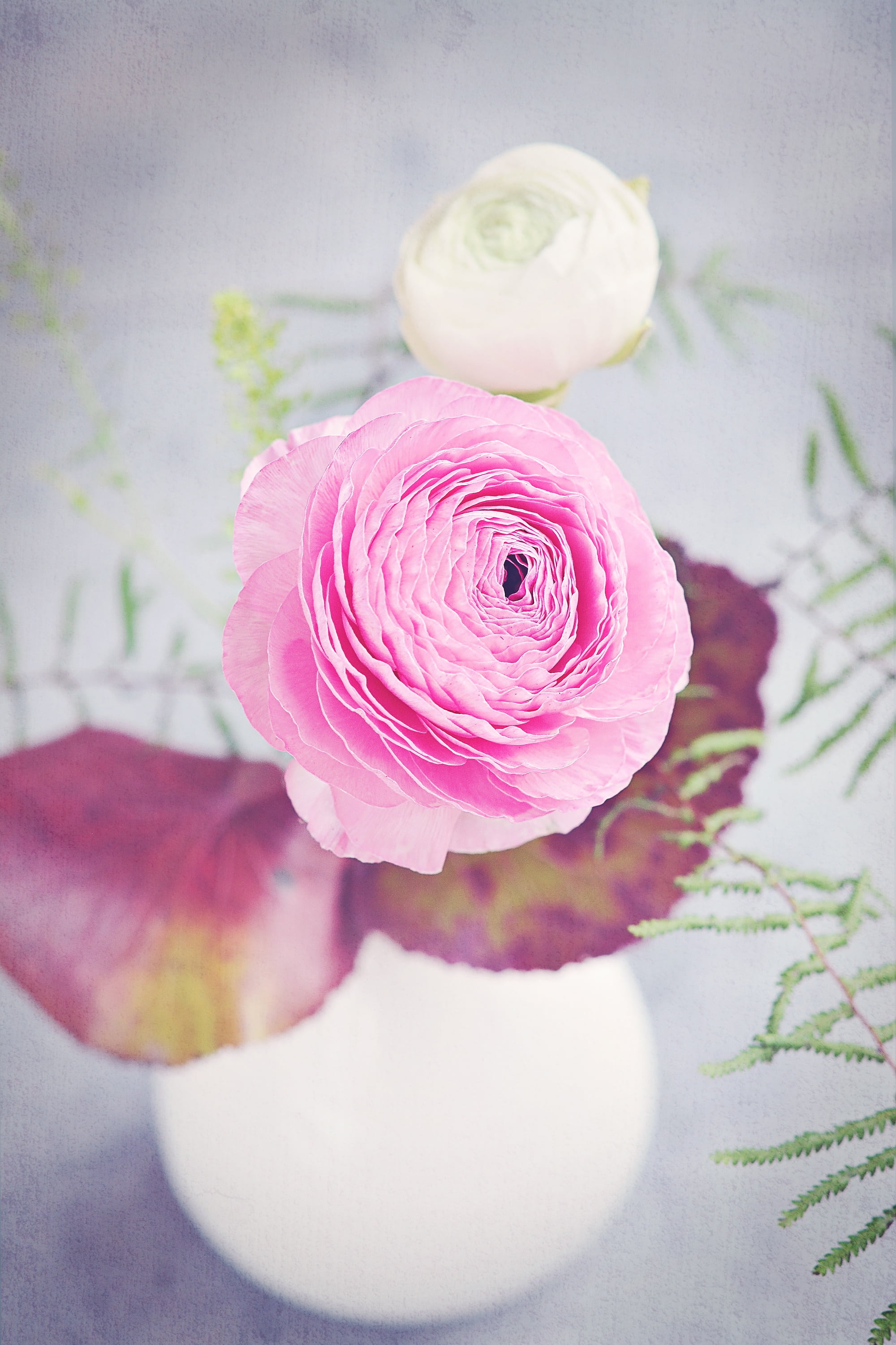 decoration, flower vase, inflorescence, pink, rose, flower, table, flowering plant, rose - Flower, flower arrangement, flower head, bouquet, schnittblume, Phone HD Wallpaper