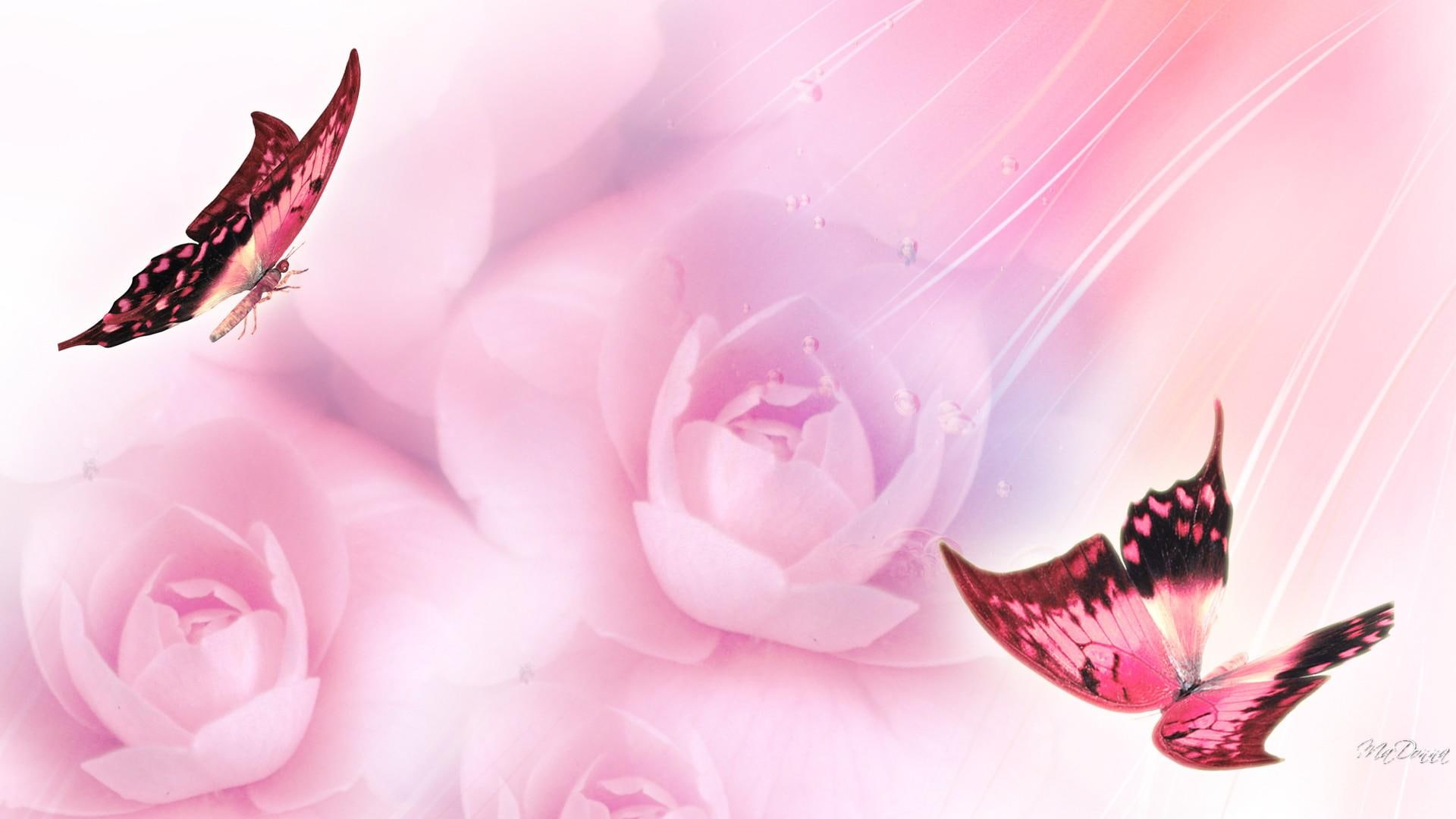 pink, dew-drops, light, fragrant, butterflies, valentines-day, roses, soft, another, summer, pretty, romantic, 1080P, HD Wallpaper