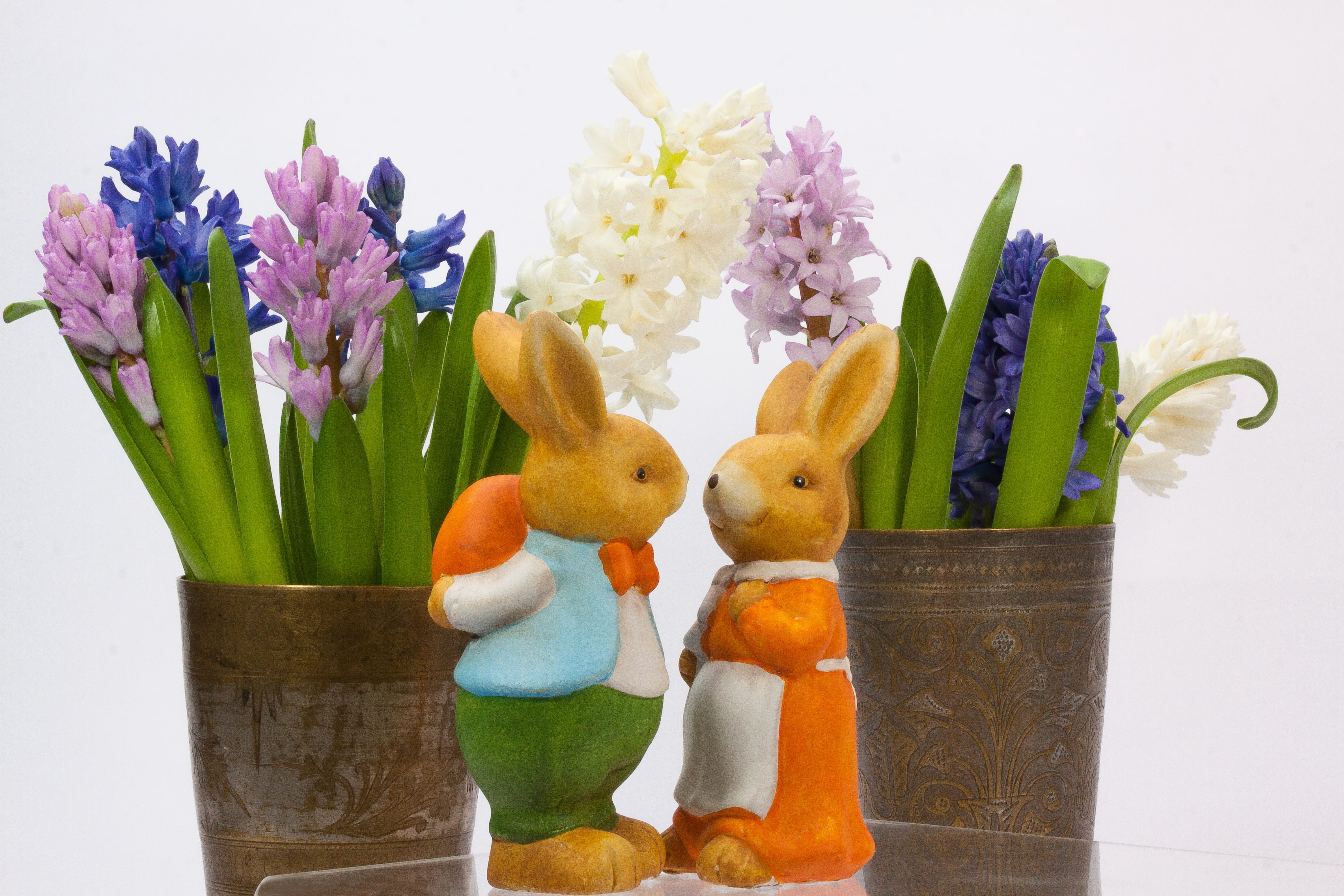 beside, lovers, asparagus plant, vase, osterhasen few, indoors, asparagaceae, variation, plant, custom, woman, pair, holiday, customs, close-up, 4K, rabbit ear, HD Wallpaper