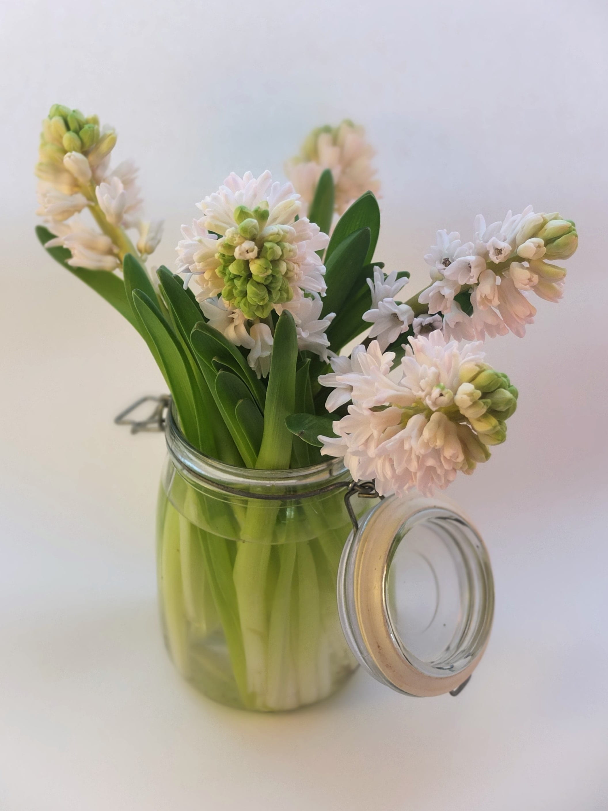 pink, flowers, bouquet, bloom, flower arrangement, mothers day, still life, green, no people, water, airtight, flower head, indoors, garden, flowering plant, Phone HD Wallpaper