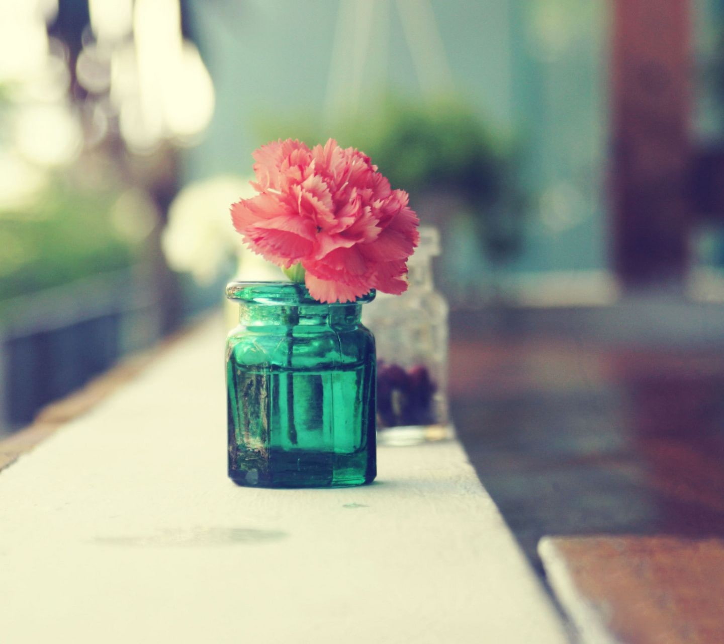 plant, jar, pink flowers, day, bottle, no people, indoors, nature, flowering plant, freshness, fragility, glass - material, 720P, vase, small, flower, HD Wallpaper
