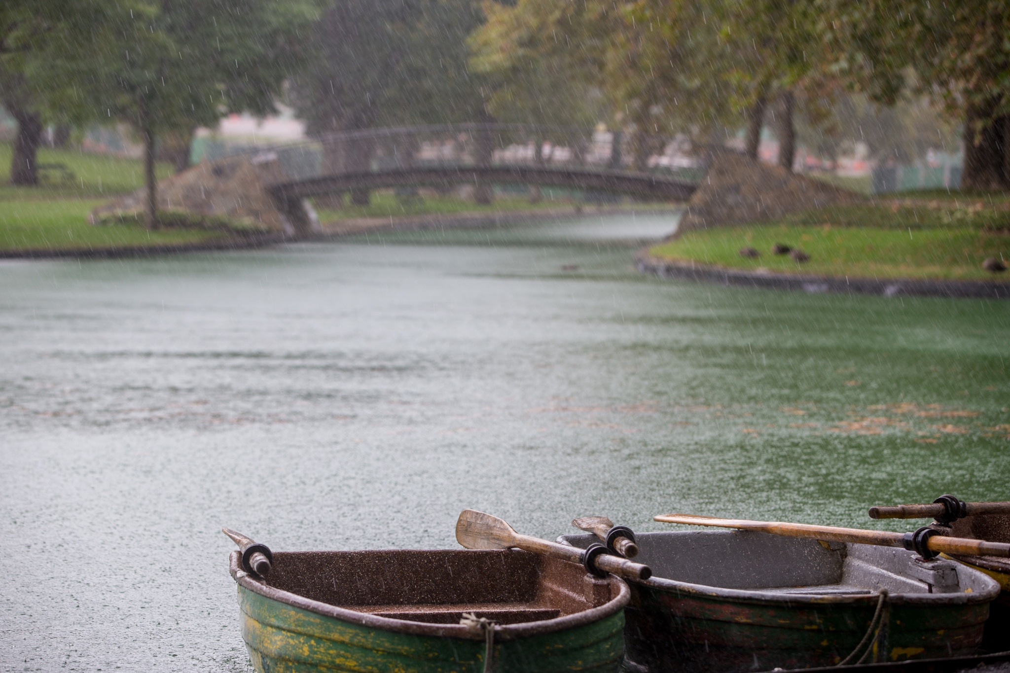 padding boats, architecture, no people, plant, beauty in nature, day, outdoors, river, wet, rowboat, mode of transportation, row boats, transportation, HD Wallpaper