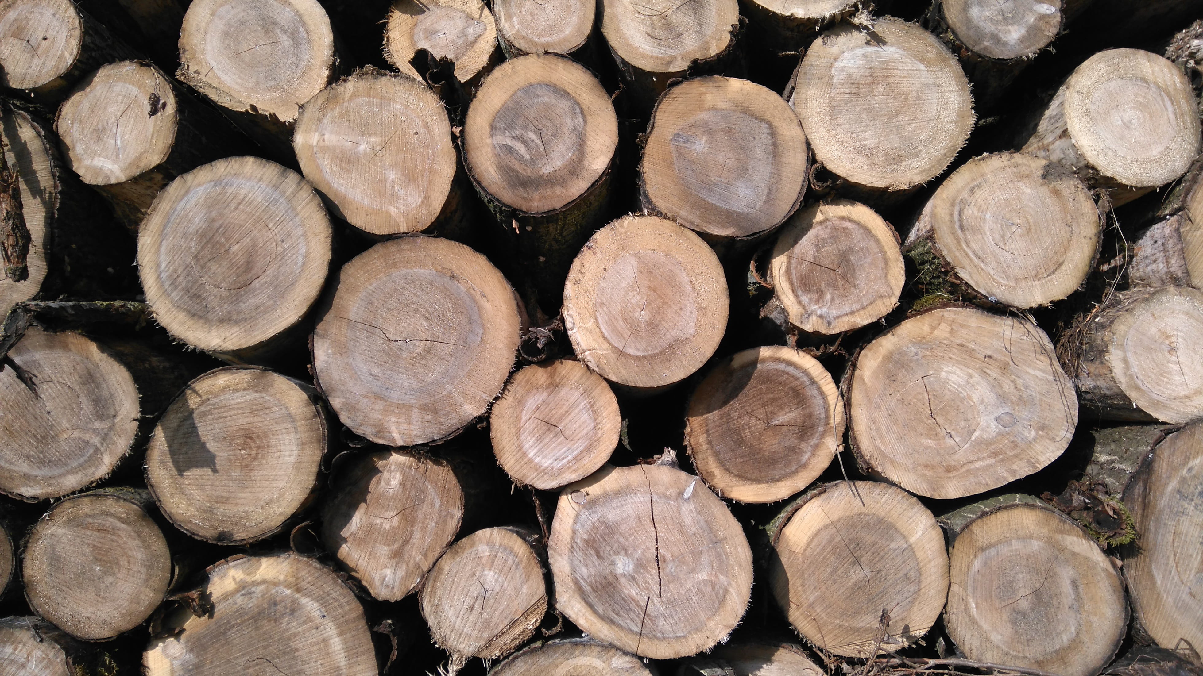 firewood, timber, pattern, stack, lumber industry, stake, pore, fuel and power generation, chopped, full frame, outdoors, wood - material, deforestation, HD Wallpaper