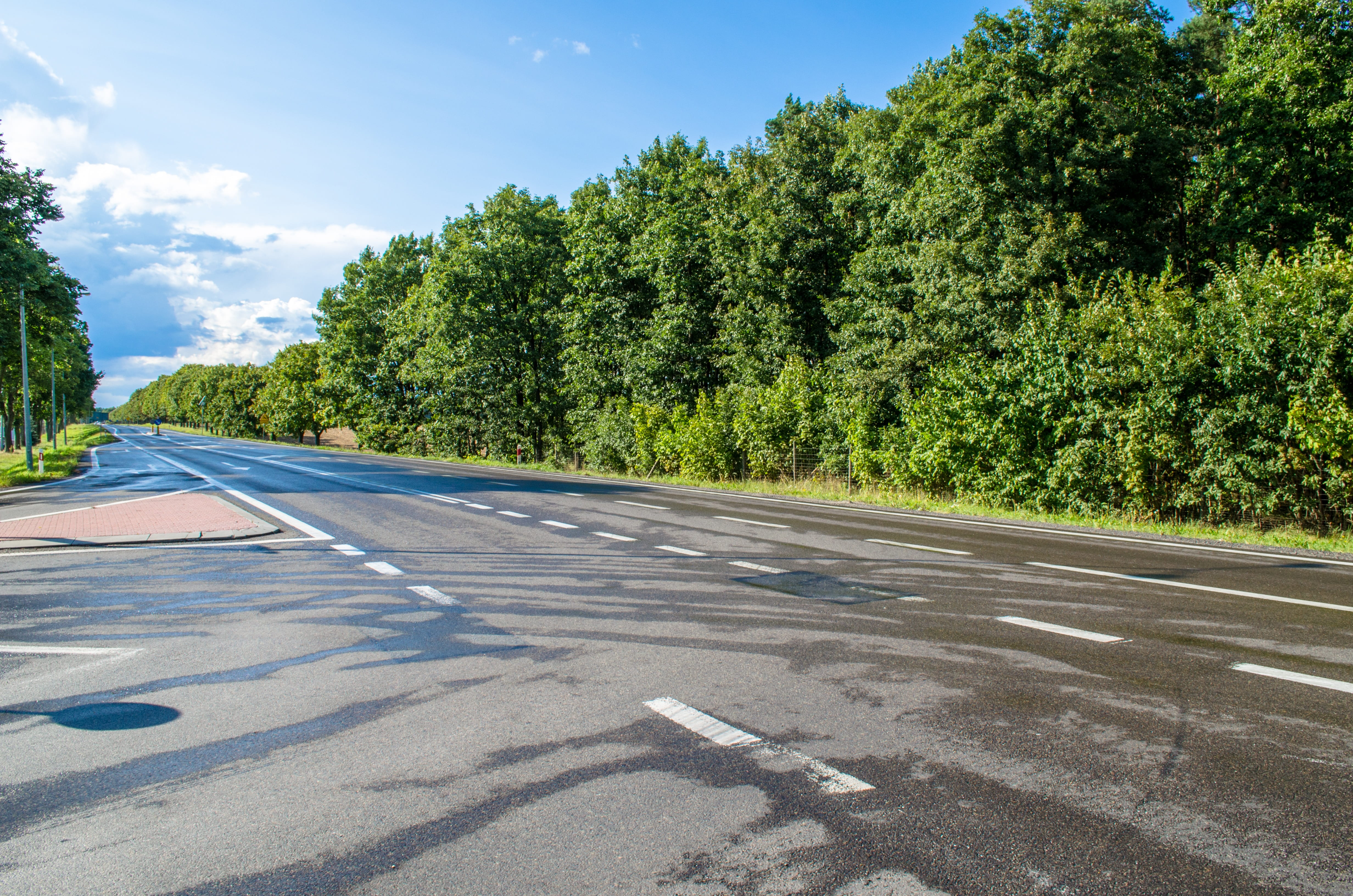 traffic, track, symbol, two-way traffic, marking, transportation, plant, an empty, outdoors, sunlight, poland, tree, green color, surrounded, the way, no people, HD Wallpaper