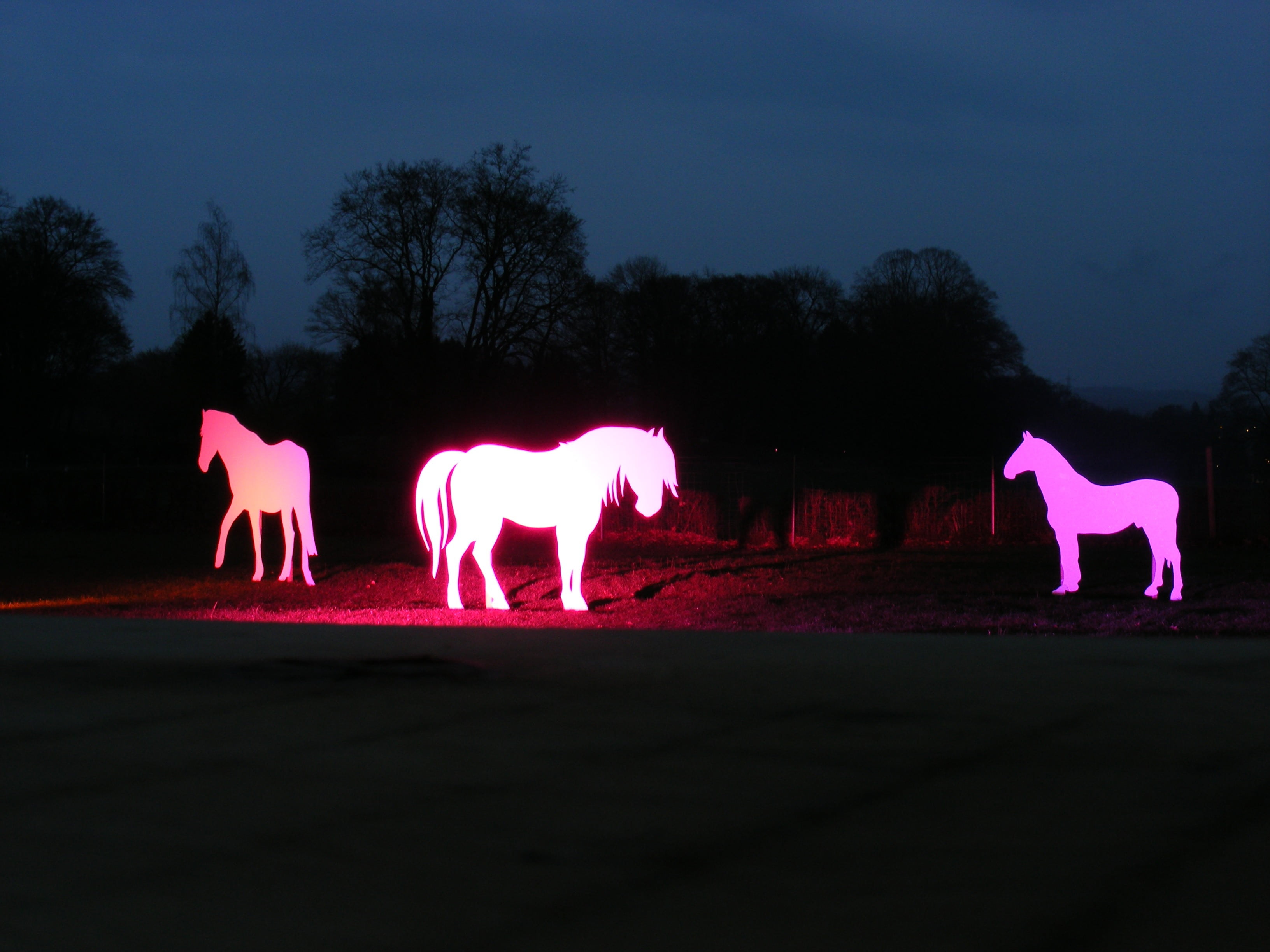art, animal representation, animal, silhouette, light installation, animal themes, dusk, lighting, silhouettes, outdoors, long exposure, sky, glowing, horses, HD Wallpaper
