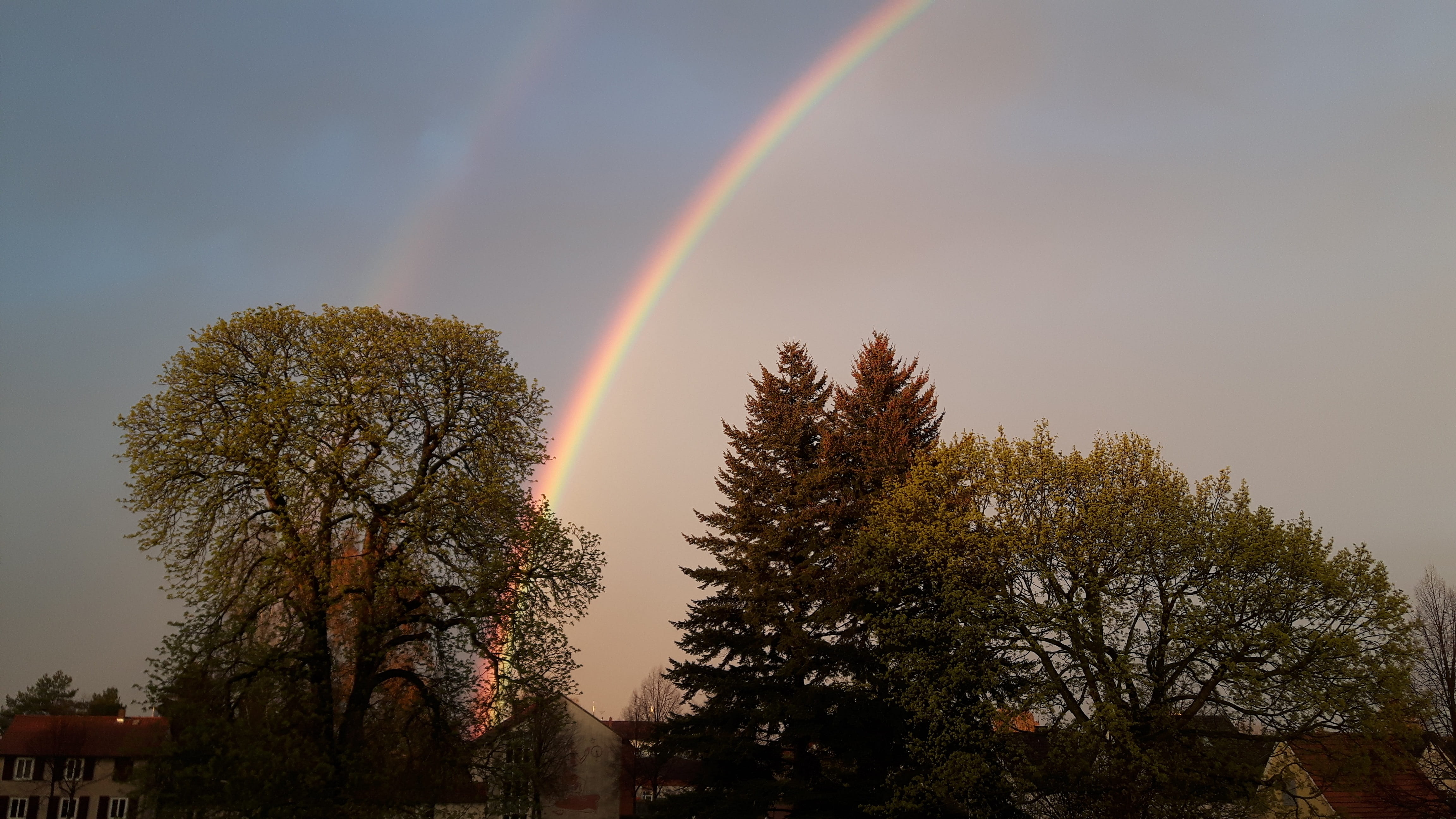 scenics, Installation, rainbow colors, outdoors, nature, scenics - nature, cloud - sky, multi colored, plant, Panorama, no people, non-urban scene, idyllic, HD Wallpaper