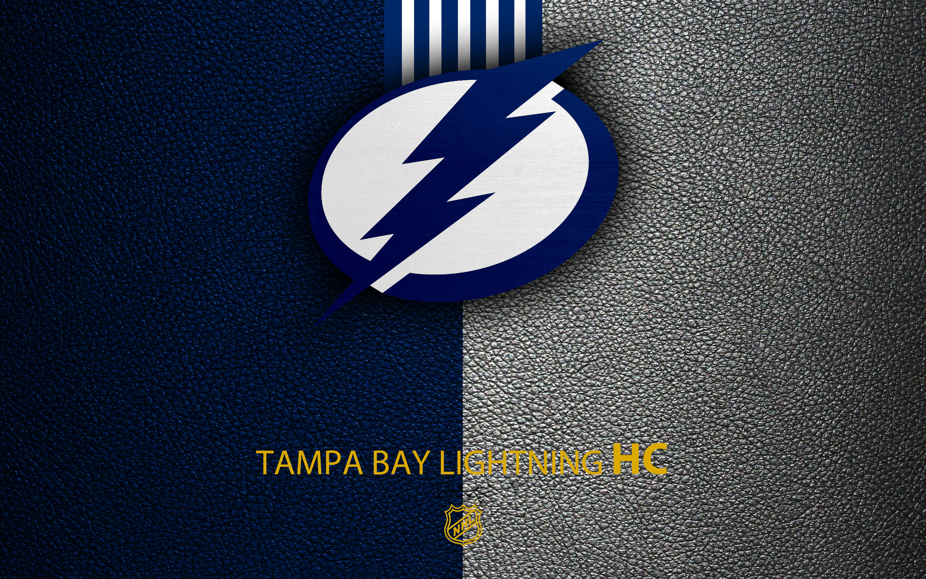 NHL, Emblem, Tampa Bay Lightning, Logo, 4K, Hockey, HD Wallpaper