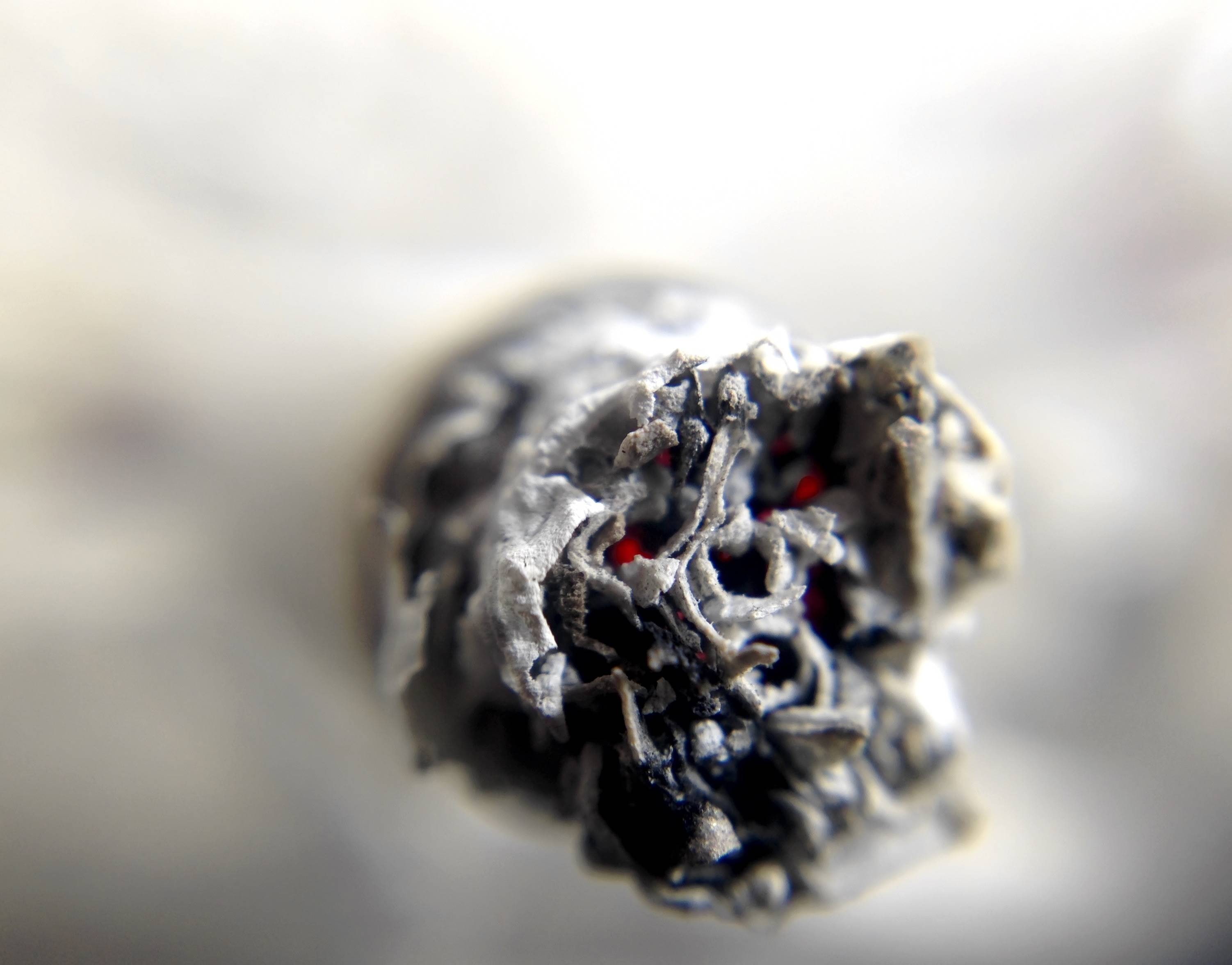 cigar, nicotine, cigarette, 2K, joint, marijuana, tobacco, HD Wallpaper