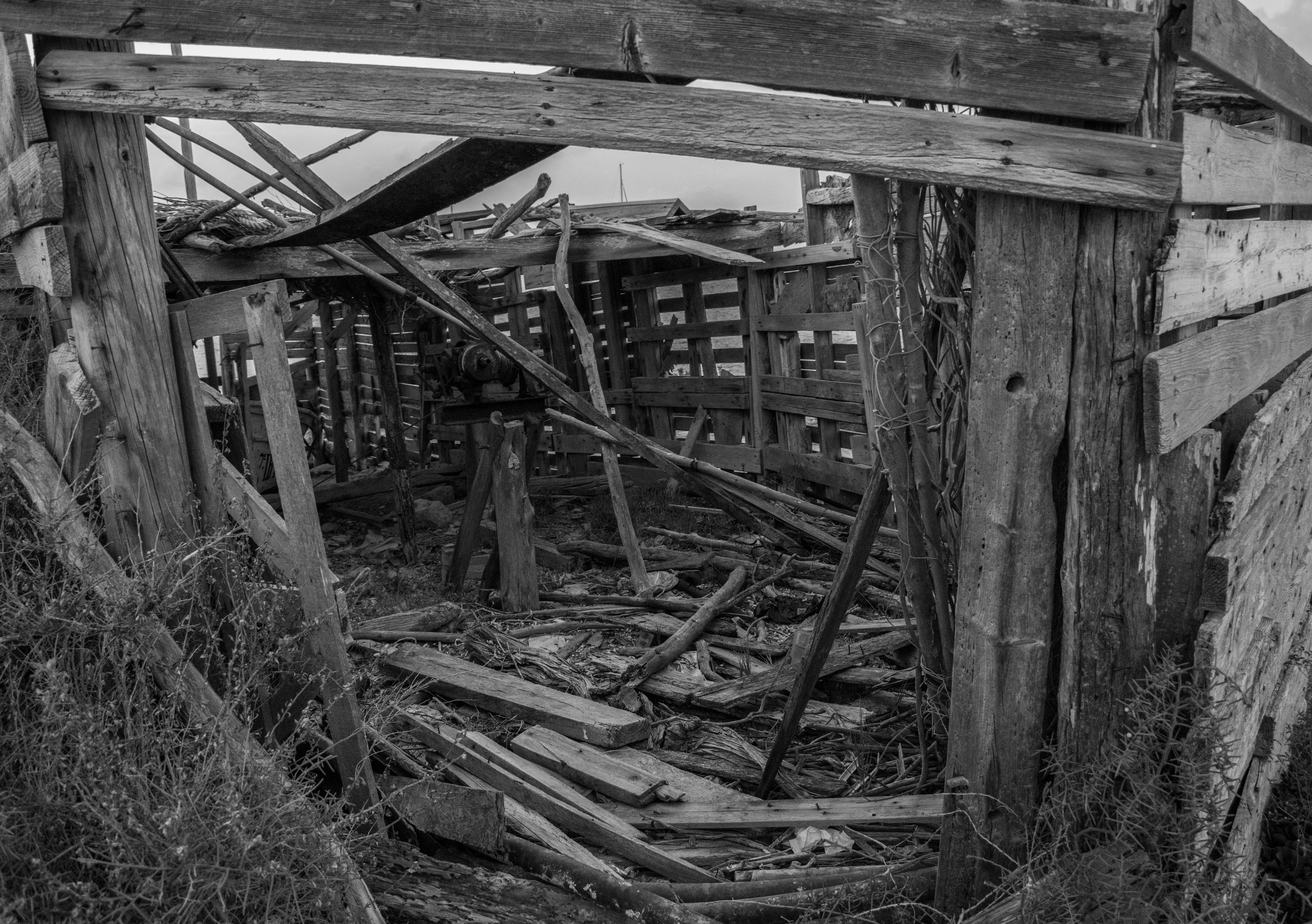 wood, land, ruined, damaged, lumber, obsolete, built structure, plant, house, ruins, no people, rural, deterioration, port, housing, outdoors, rubble, wood - material, HD Wallpaper