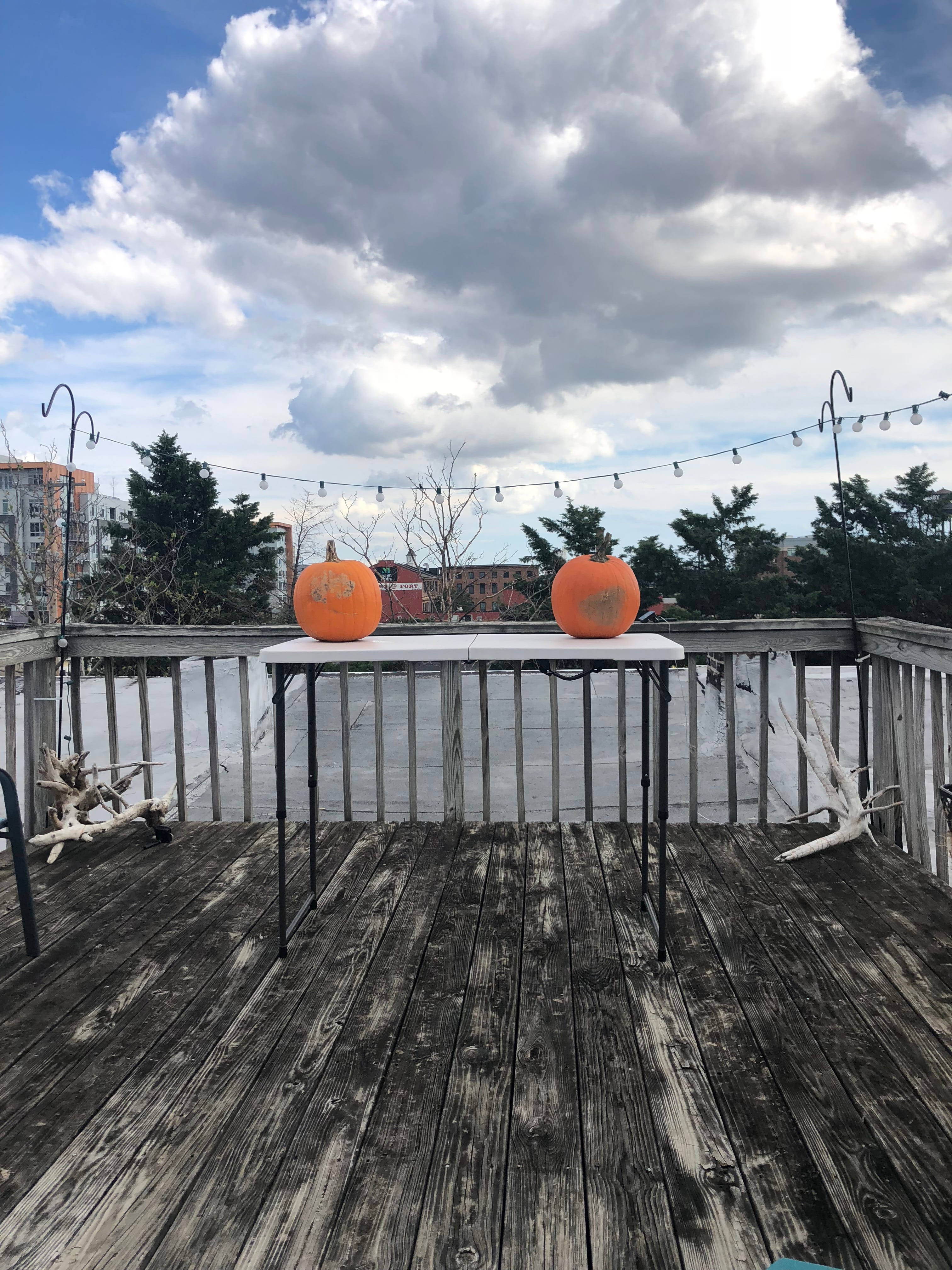 food, nature, connection, building, sky, wood, wood - material, produce, fall, baltimore, bridge - man made structure, plant, boardwalk, persimmon, autumn, Phone HD Wallpaper