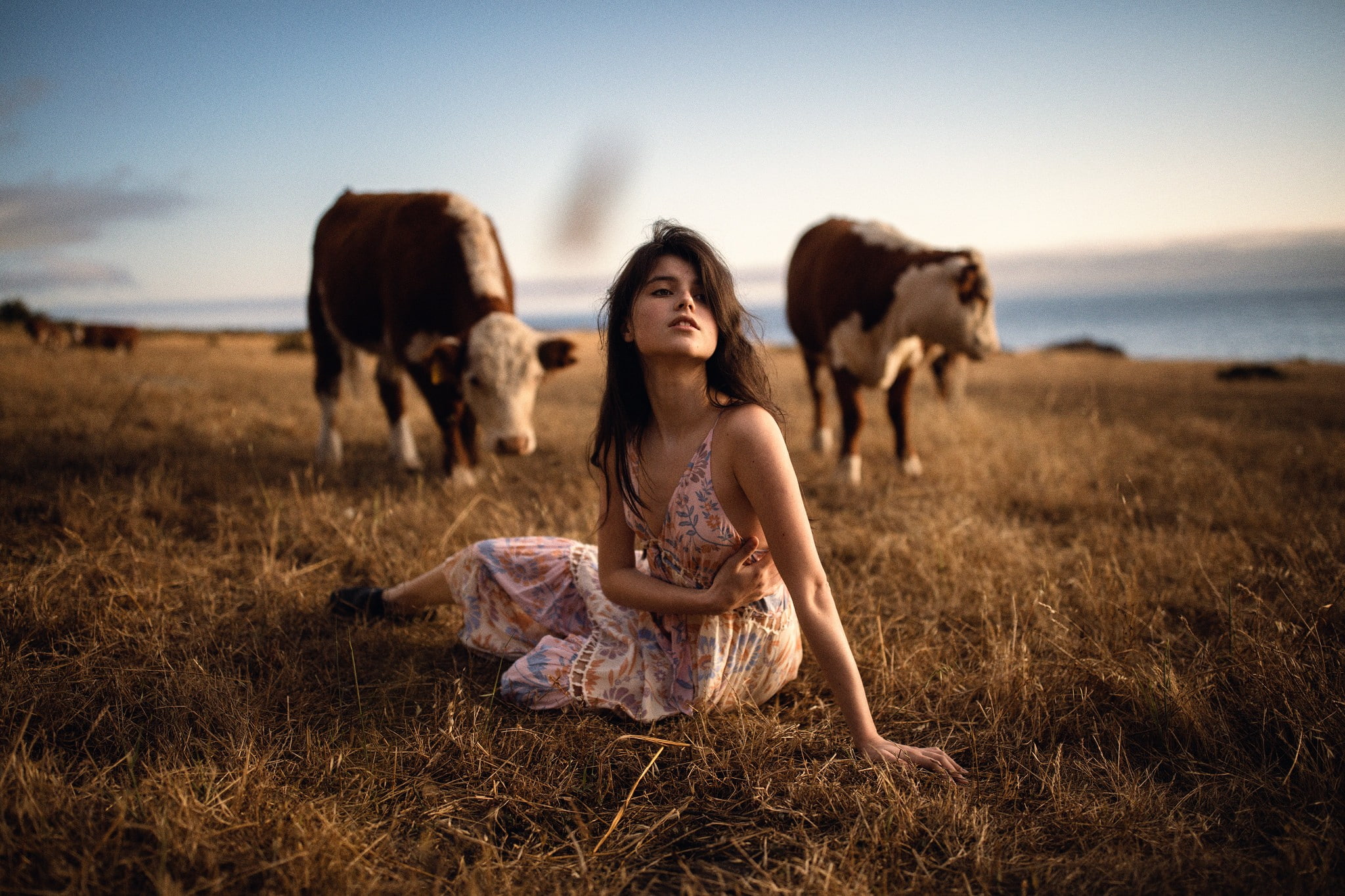 1080P, sitting, Jesse Herzog, animals, model, women outdoors, Raluca Vlad, cow, HD Wallpaper