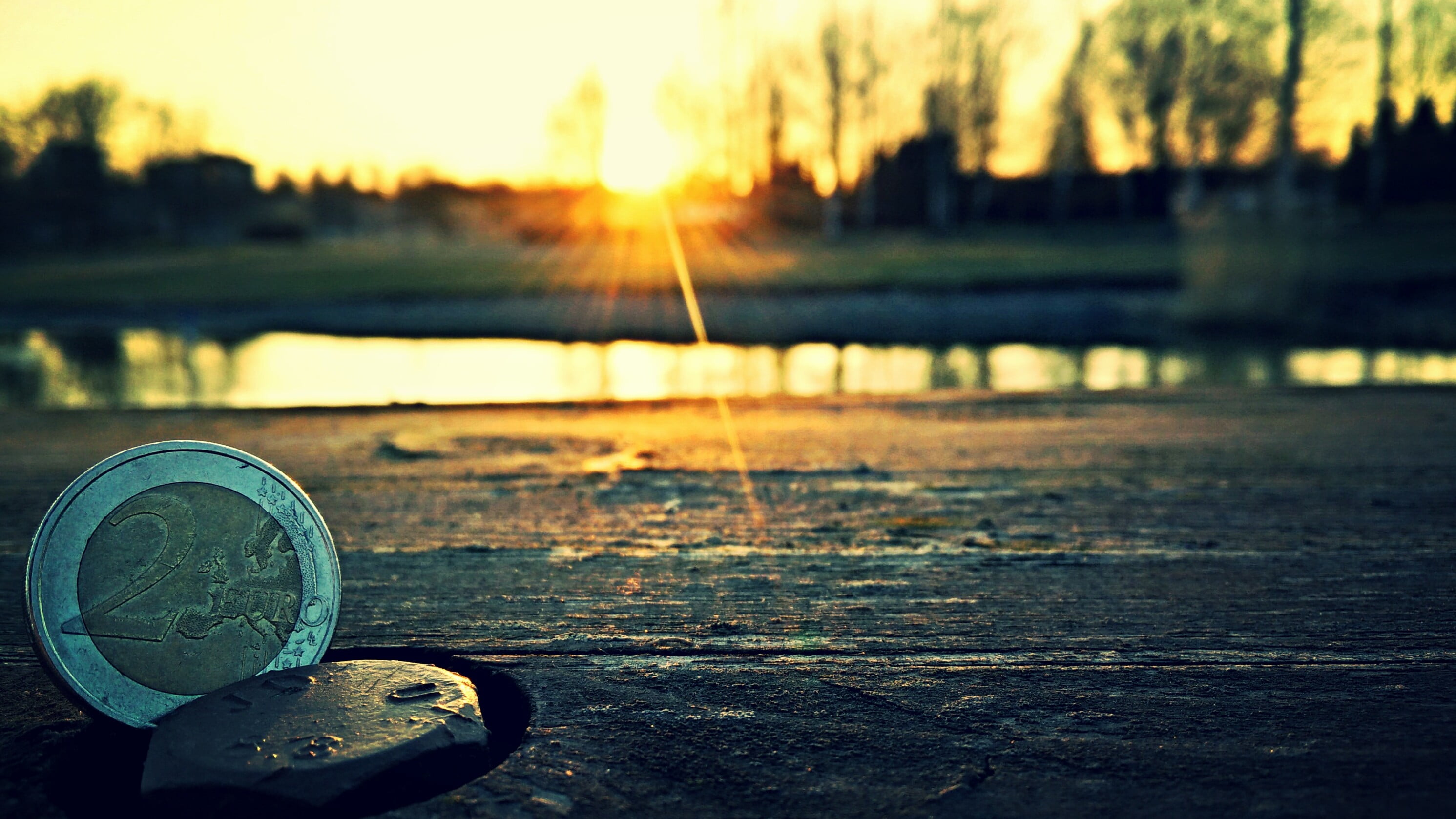 no people, wood - material, Sun, sky, circle, tree, focus on foreground, perspective, money, finance, coin, day, round, close-up, 2K, sunlight, water, HD Wallpaper