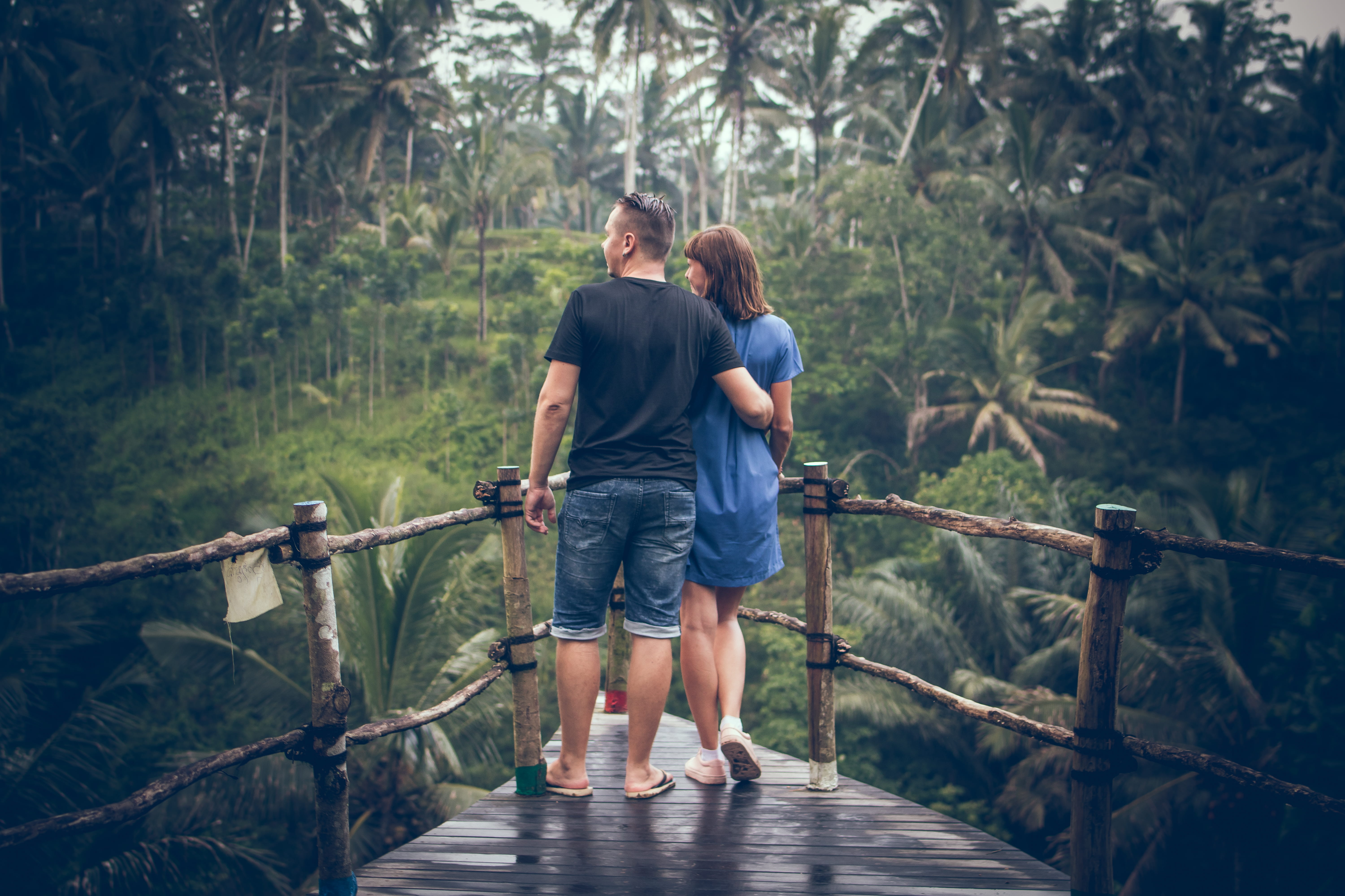 green, adult, park, forest, man, casual clothing, land, girlfriend, palm trees, hanging, 5K, young adult, woods, nature, jungle, daylight, together, tropical, HD Wallpaper