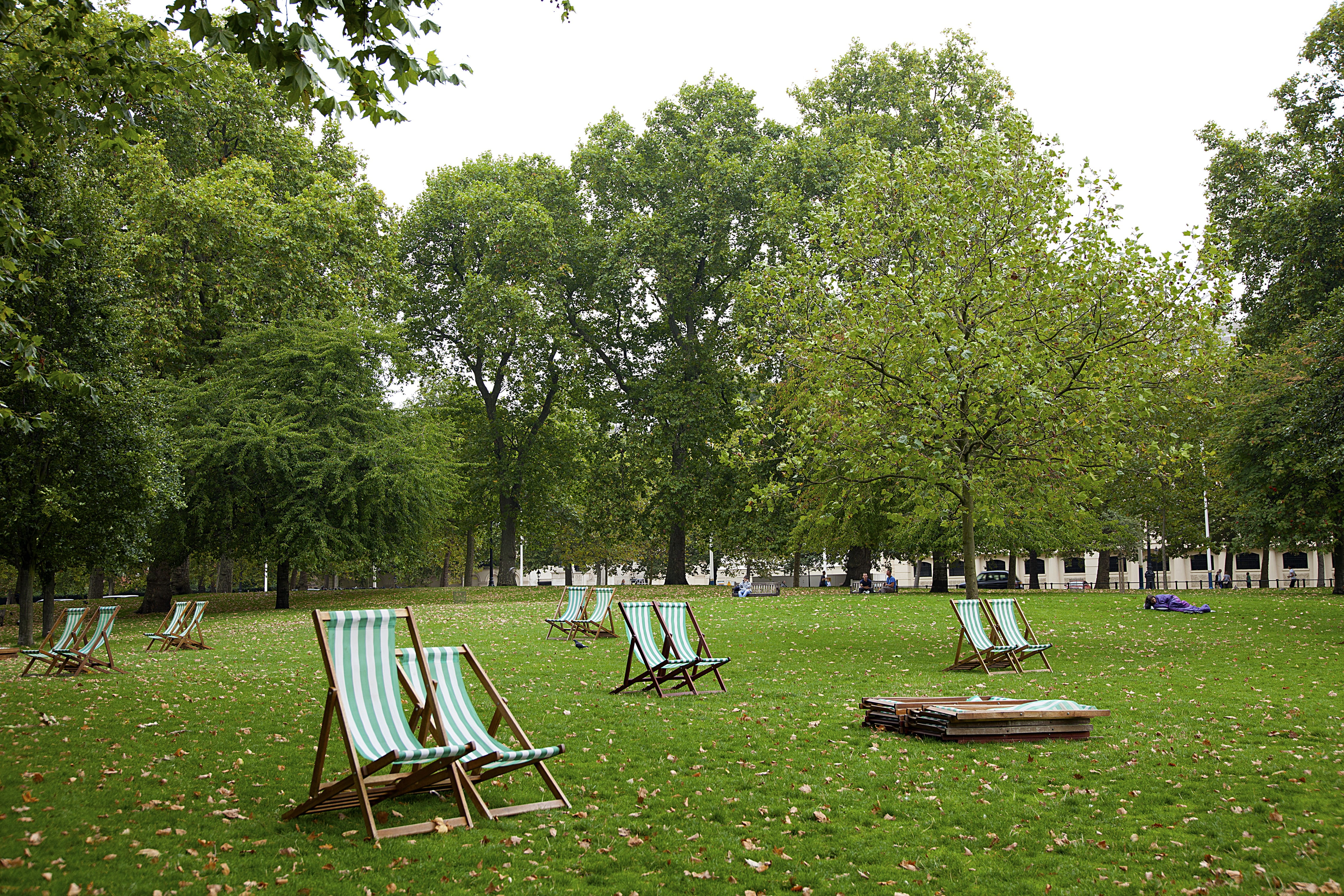 grass, seat, deck chairs, green, green color, tombstone, lawn, 4K, Trees, cemetery, nature, empty, land, plant, grave, Deck, sky, Chairs, tree, lifestyle, HD Wallpaper