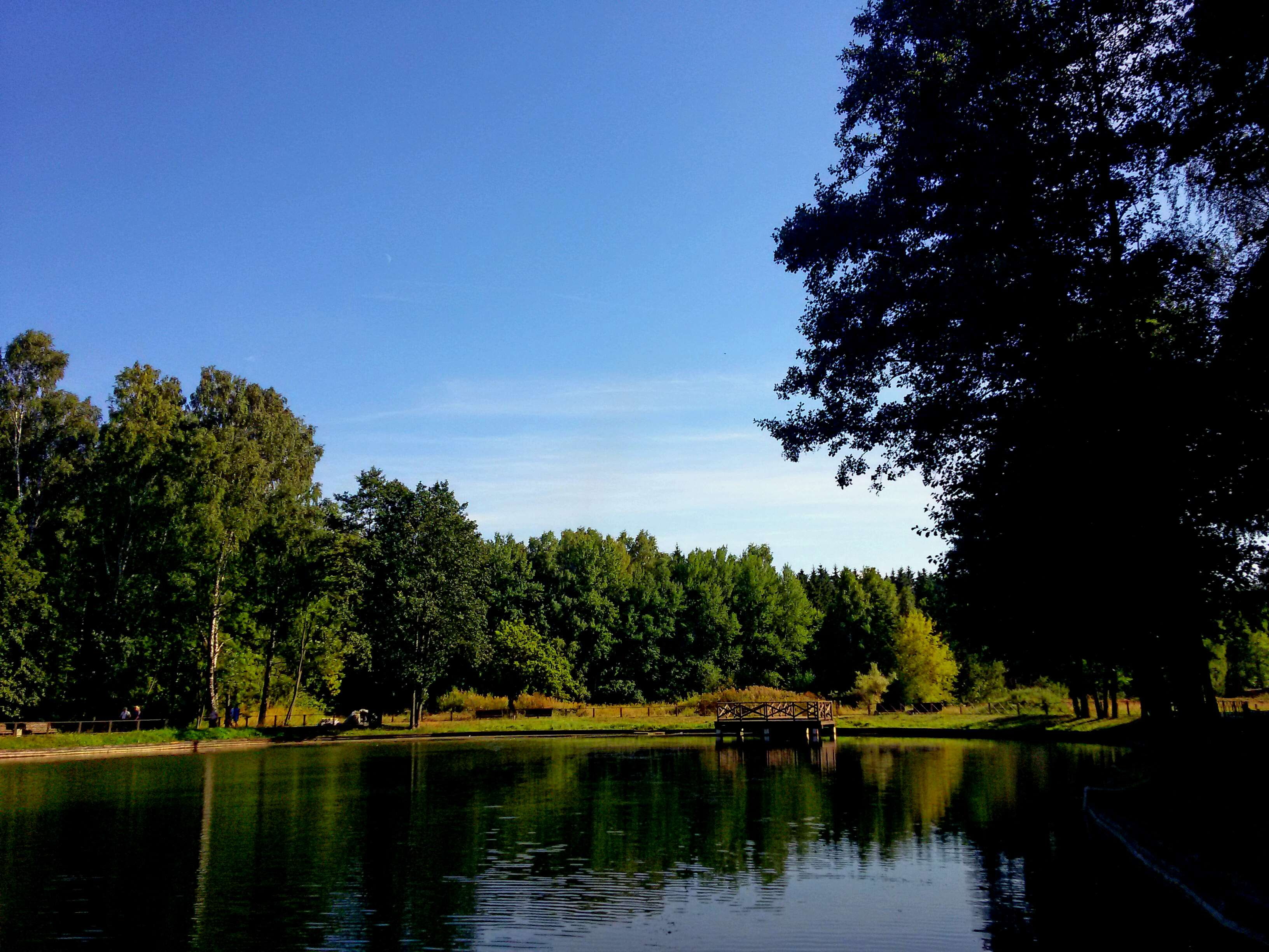idyllic, tranquility, tree, scenic, 2K, reflection, lake, dusk, summer, no people, park, river, day, pond, scenics - nature, forest, landscape, beauty in nature, HD Wallpaper