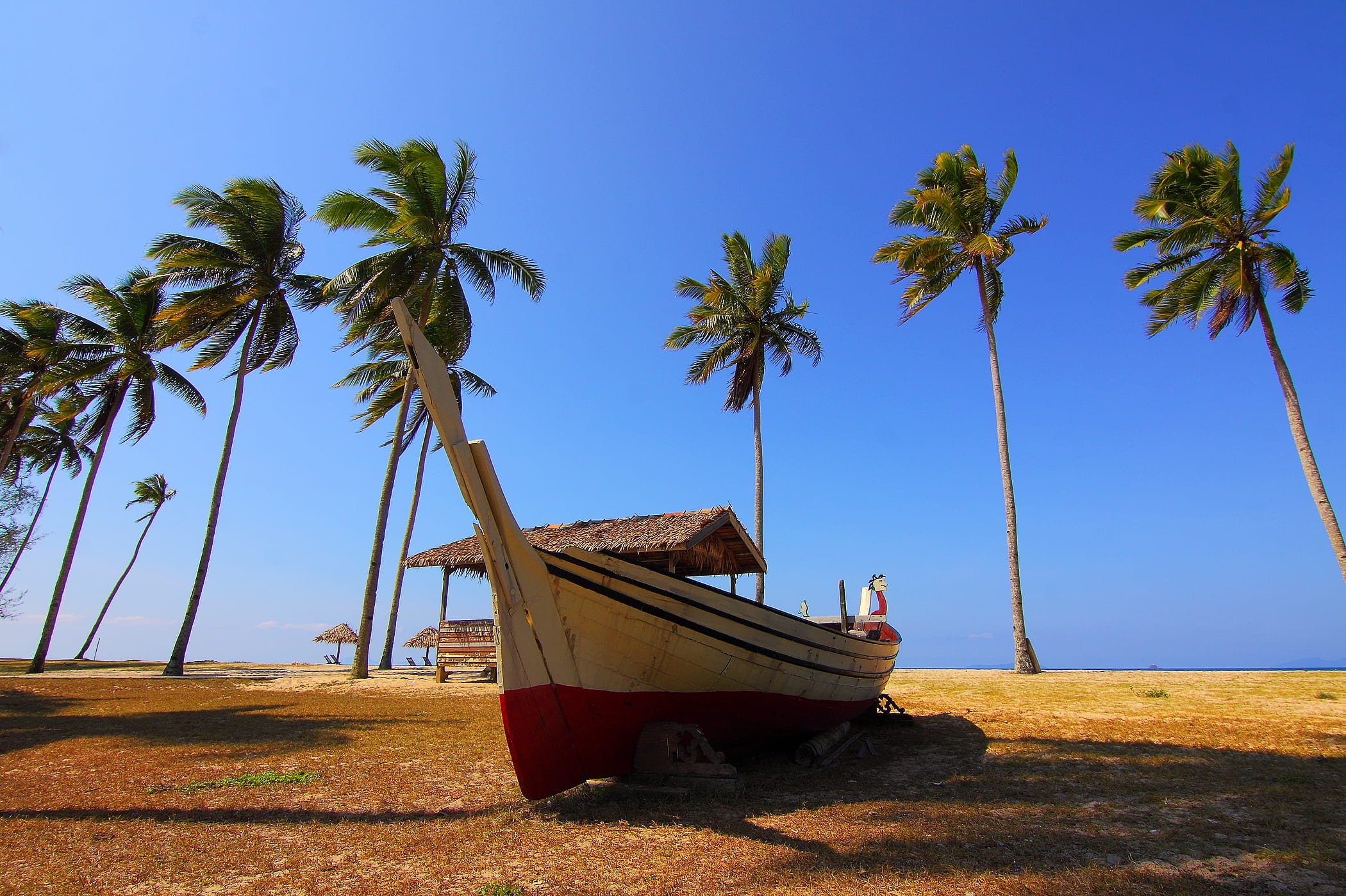 coastline, travel Locations, Boat, beach, Palm Trees, idyllic, trees, day, nautical Vessel, vacations, land, nature, blue, sky, no People, tropical Climate, HD Wallpaper