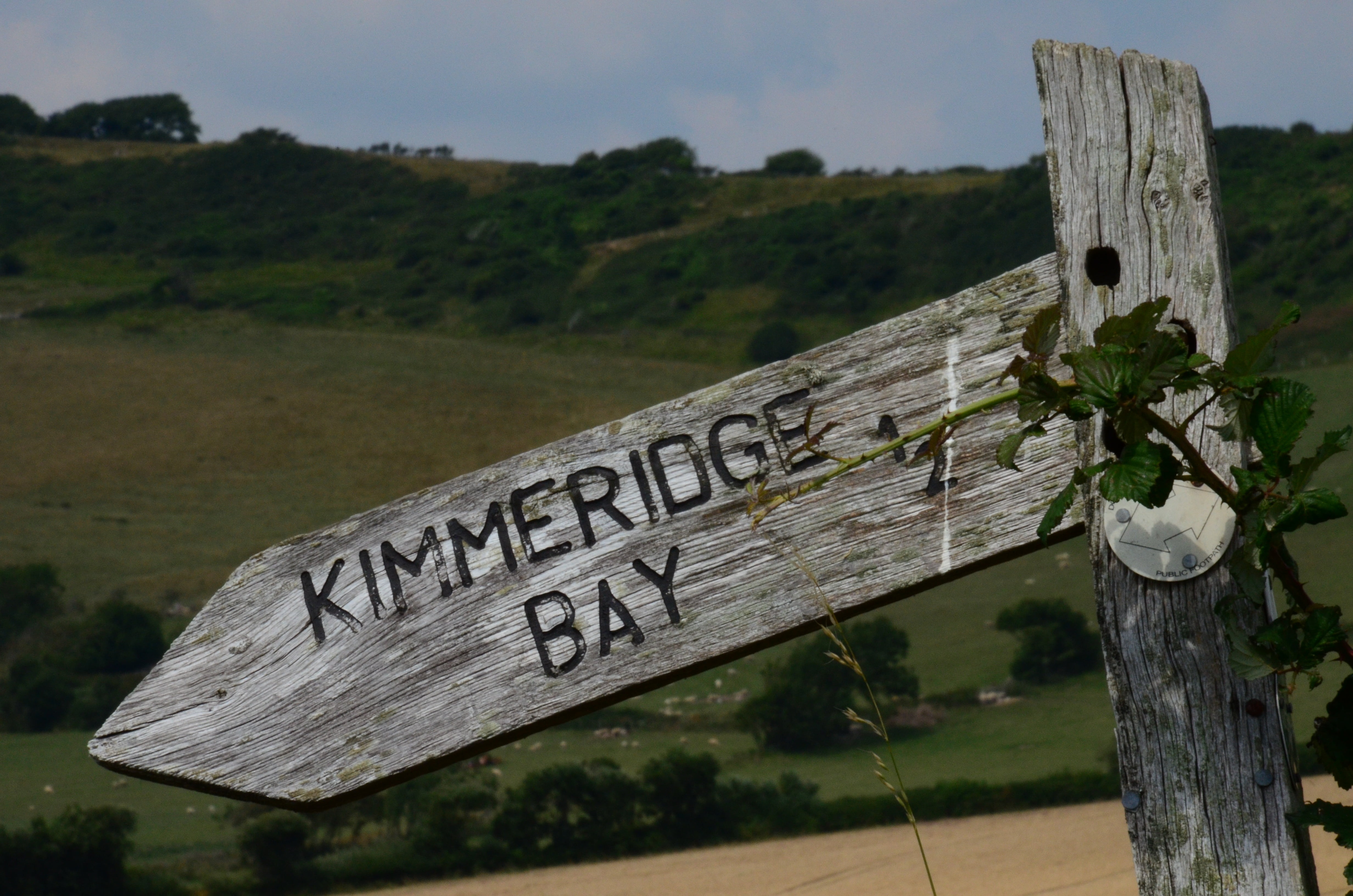 road sign, wood, hike, label, landscape, arrow, wooden post, land, signs, outdoors, marking, communication, directory, away, focus on foreground, information, HD Wallpaper