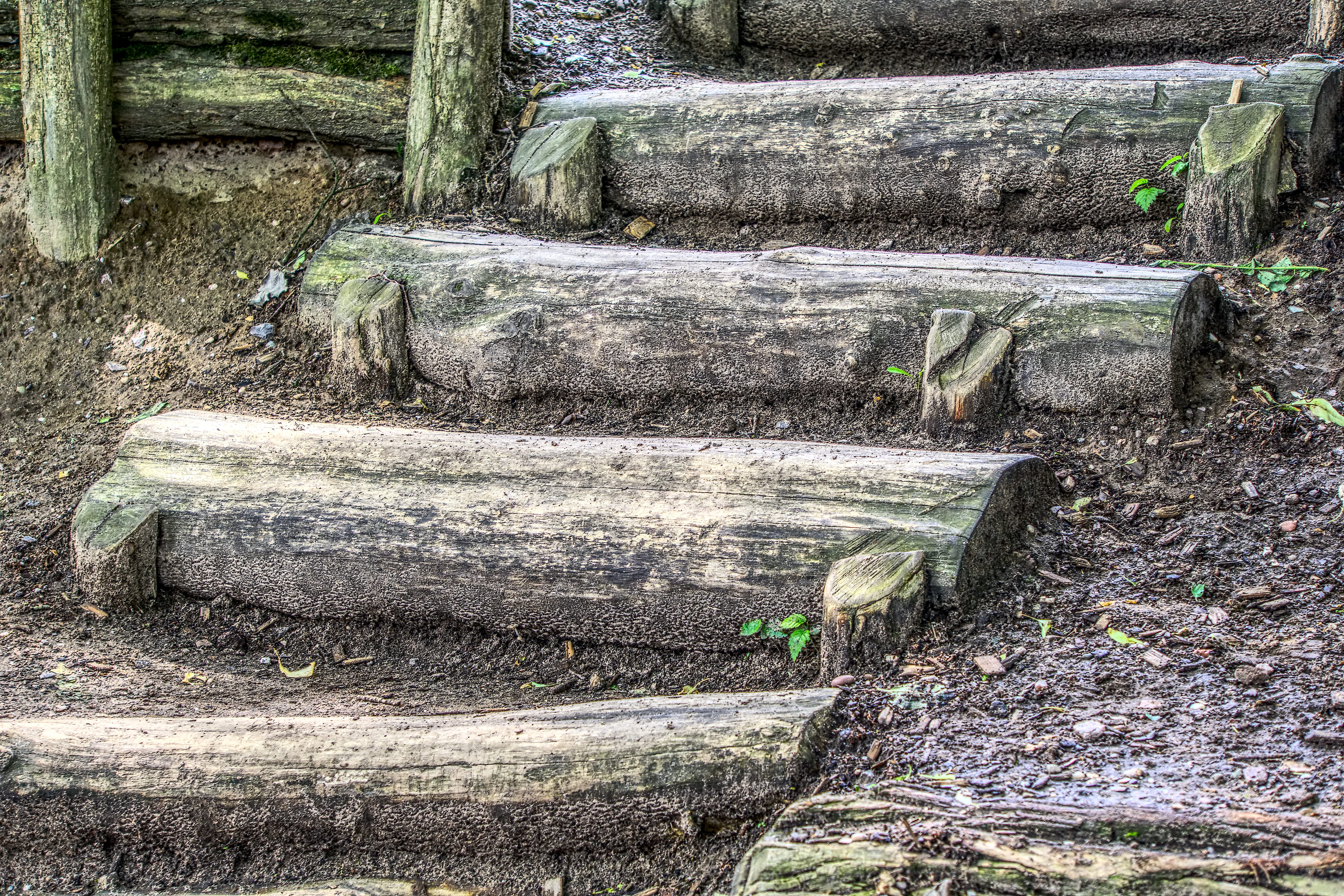 bark, wood stairs, uncertain, tree, playground, top, wall - building feature, growth, old, architecture, stair step, plant, solid, close up, staircase, HD Wallpaper