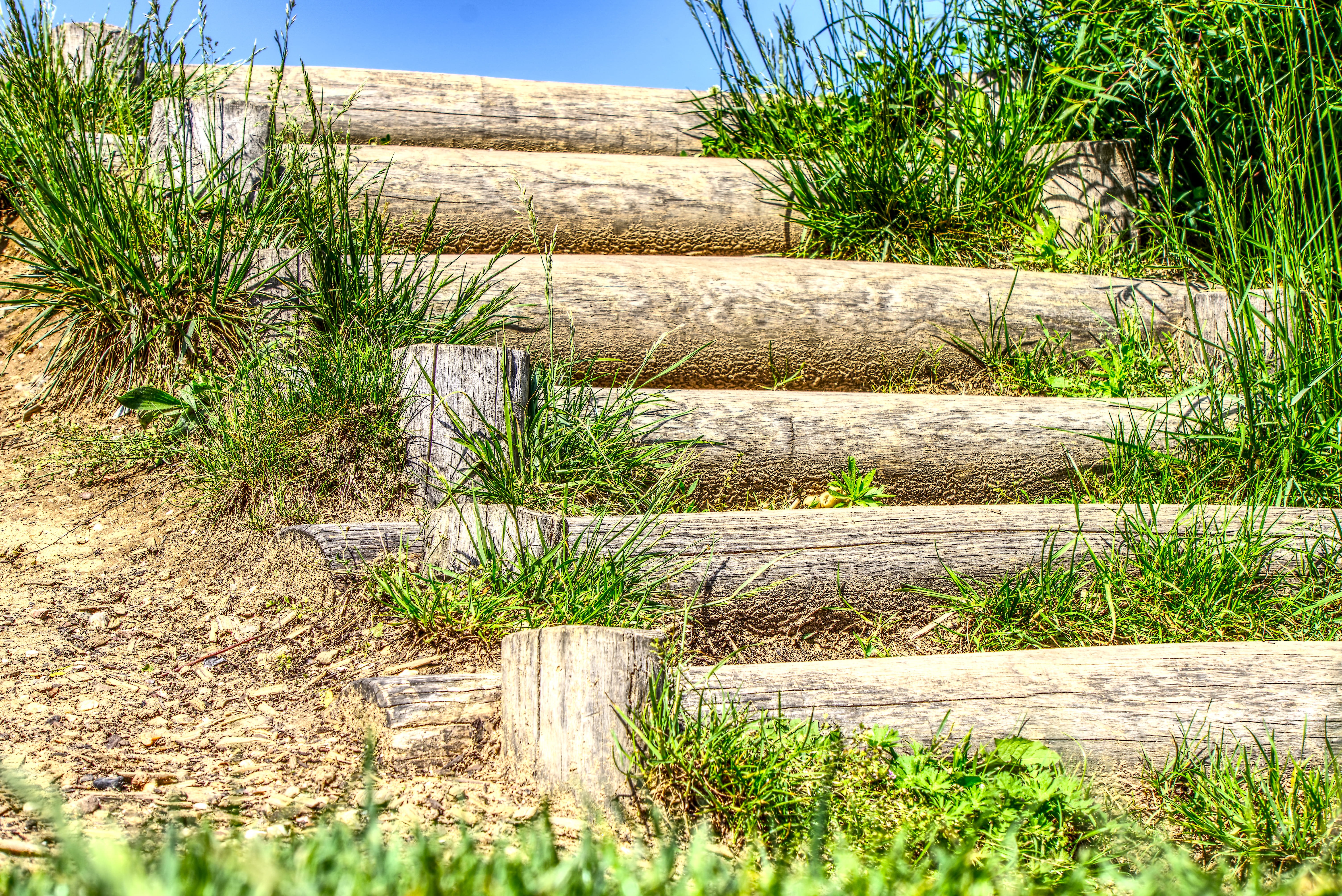 sky, water, staircase, high dynamic range, 5K, tree, stair step, playground, architecture, green color, sea, wood - material, dune, hdr, plant, gradually, HD Wallpaper