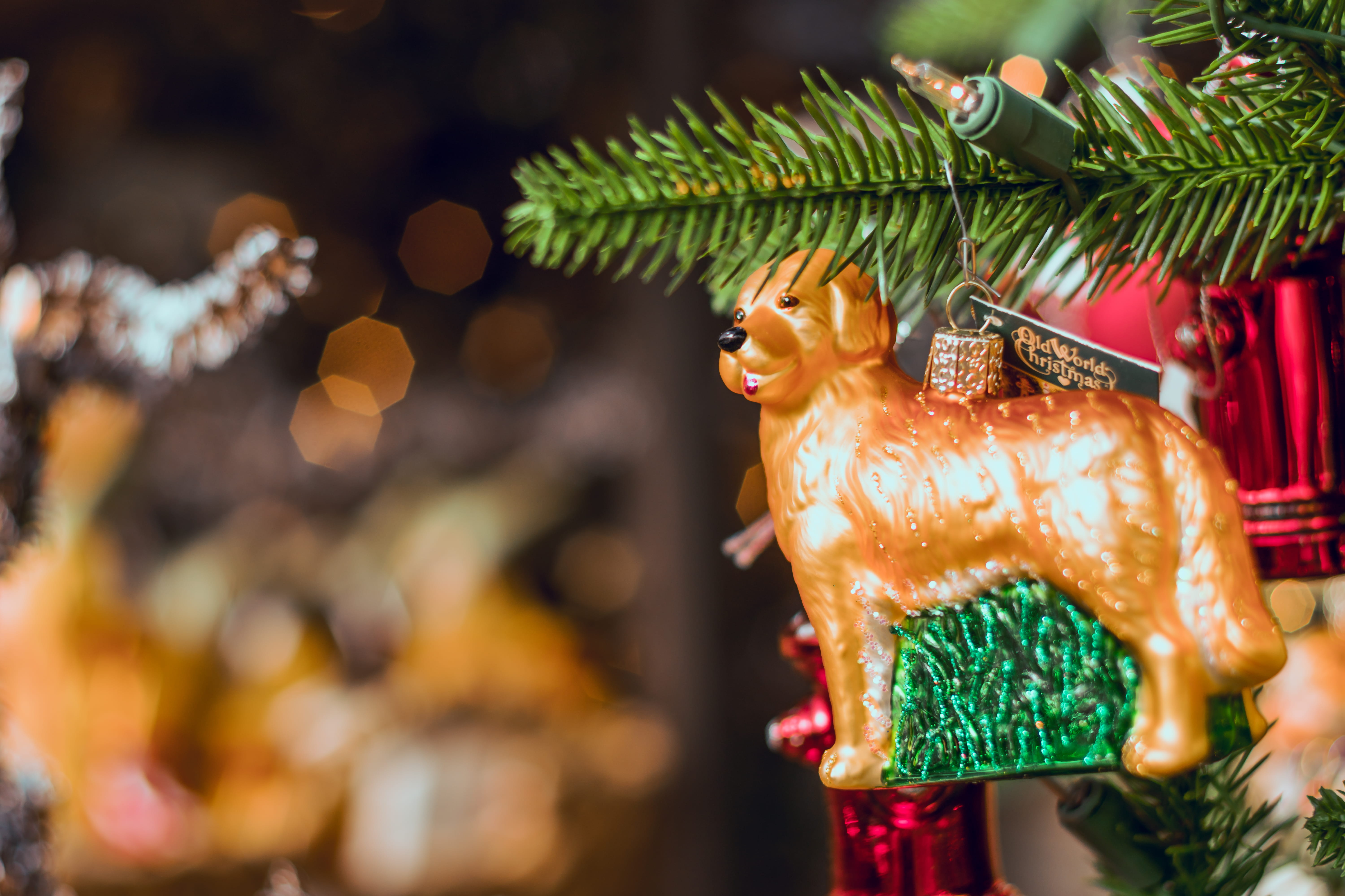 close-up, holiday, christmas tree, focus on foreground, figurine, craft, christmass tree, christmas, retriever, art and craft, creativity, sculpture, multi colored, HD Wallpaper